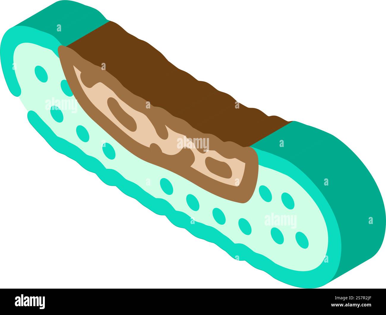 il cetriolo marcisce il vettore dell'icona isometrica degli alimenti. segno di cibo marcio di cetriolo. illustrazione del simbolo isolato. illustrazione vettoriale dell'icona isometrica del cetriolo che marcisce gli alimenti Illustrazione Vettoriale