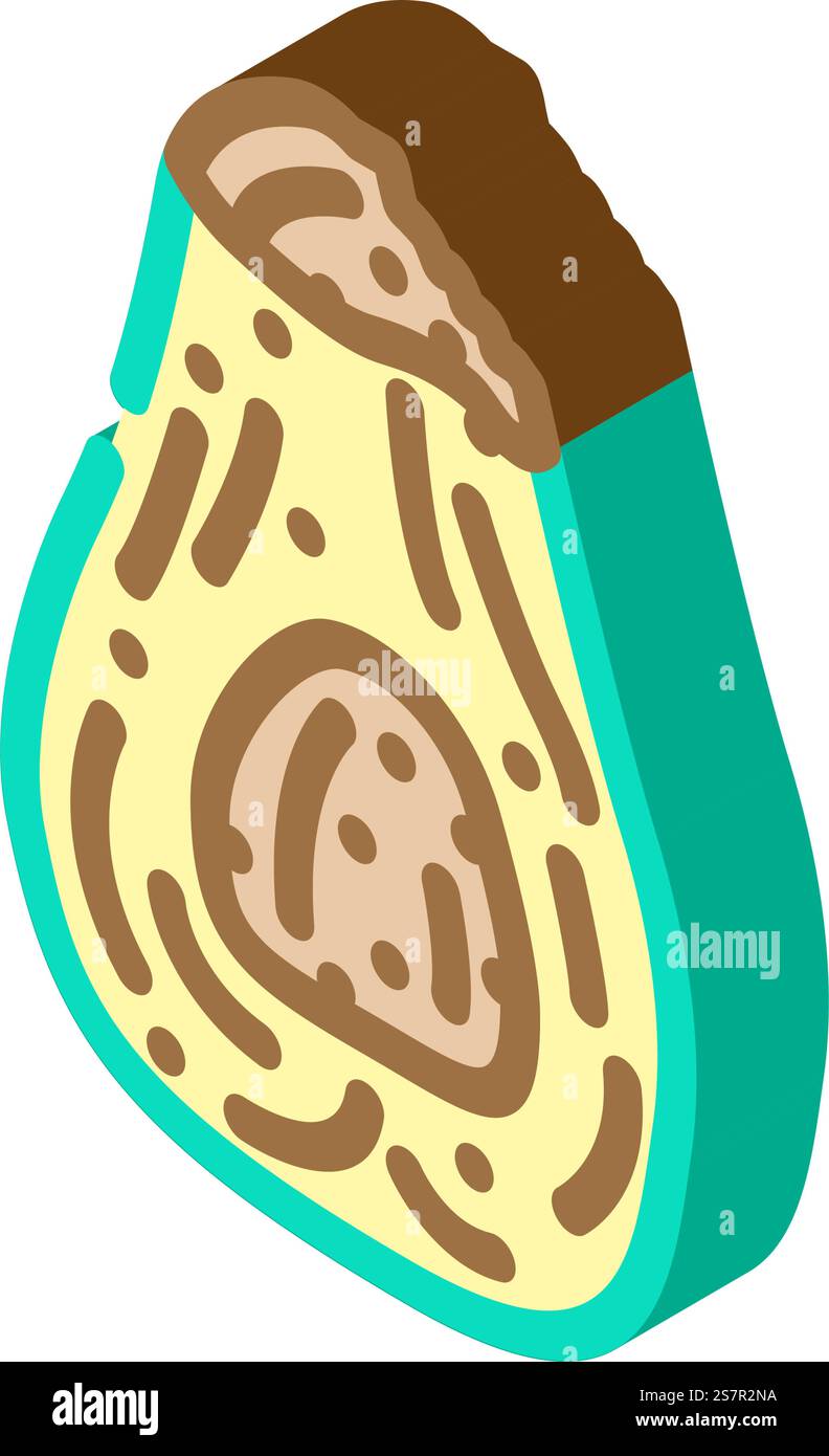 avocado marcisce il vettore isometrico di un'icona del cibo. segno di cibo avocado marcio. illustrazione del simbolo isolato. illustrazione vettoriale dell'icona isometrica degli avocado per gli alimenti Illustrazione Vettoriale