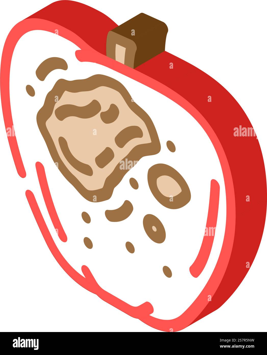mela marcisce il vettore dell'icona isometrica del cibo. segno di cibo marcio di mela. illustrazione del simbolo isolato. illustrazione vettoriale dell'icona isometrica del cibo marcio di mela Illustrazione Vettoriale