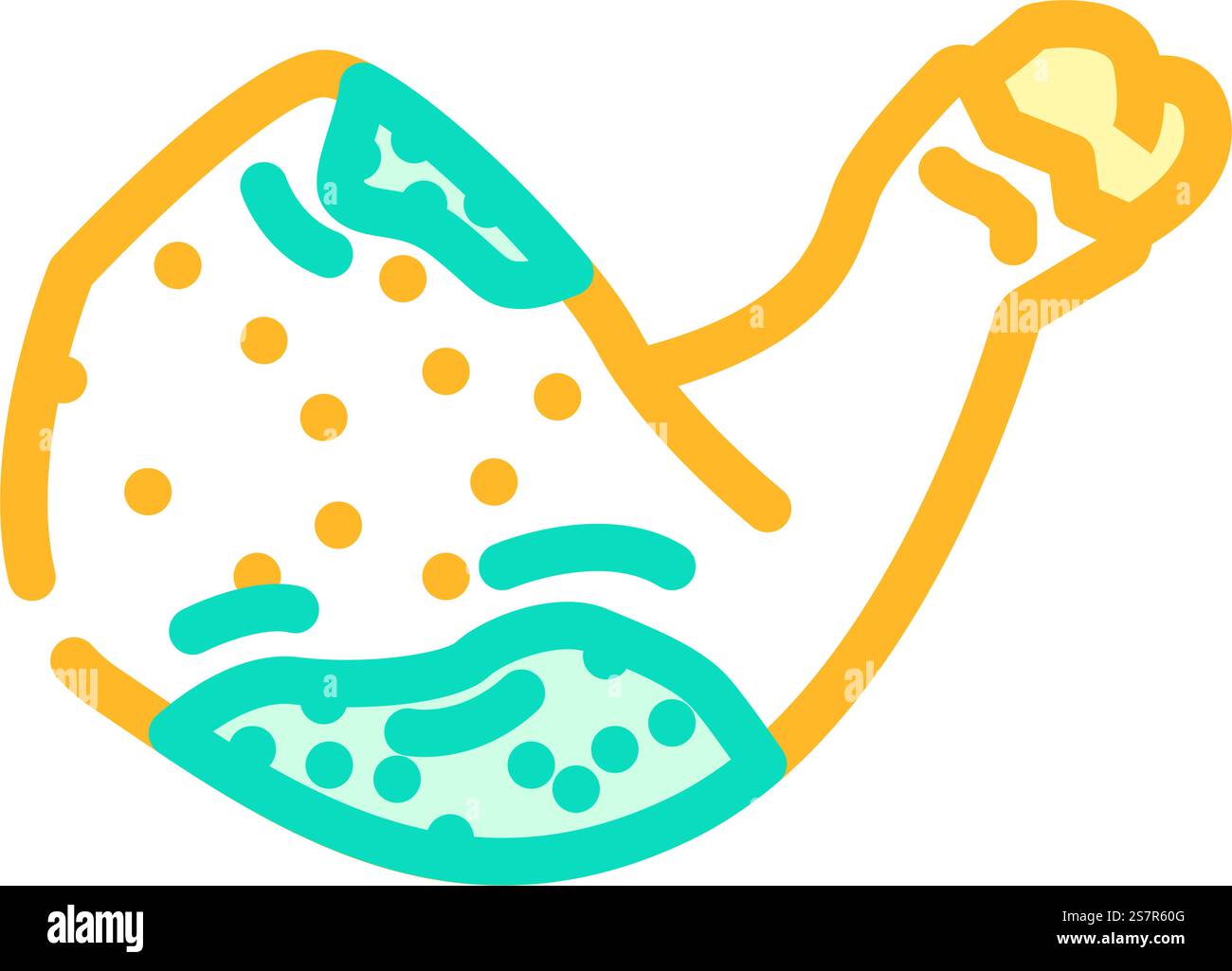 vettore dell'icona del colore degli alimenti marcio del pollo. segno di cibo marcio di pollo. illustrazione del simbolo isolato. illustrazione vettoriale dell'icona del colore degli alimenti del pollo Illustrazione Vettoriale