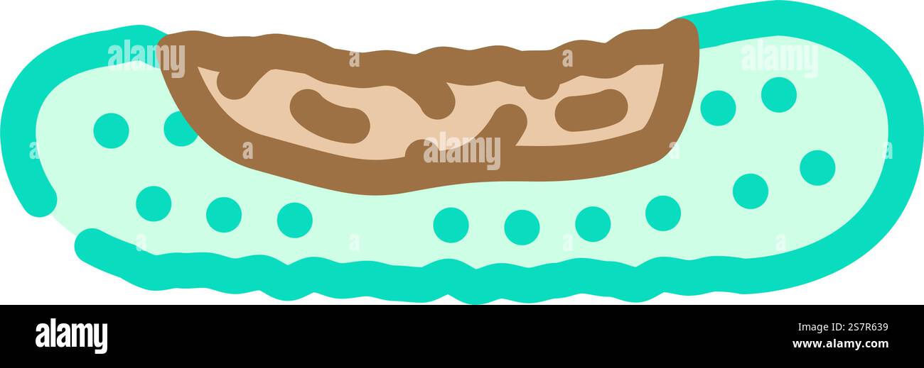 vettore icona del colore del cetriolo che marcisce gli alimenti. segno di cibo marcio di cetriolo. illustrazione del simbolo isolato. illustrazione vettoriale dell'icona del colore del cetriolo Illustrazione Vettoriale