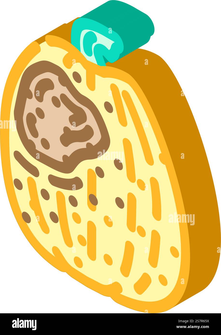 vettore icona isometrico del cibo marcio di zucca. segno di cibo marcio di zucca. illustrazione del simbolo isolato. illustrazione vettoriale dell'icona isometrica del cibo marcio di zucca Illustrazione Vettoriale