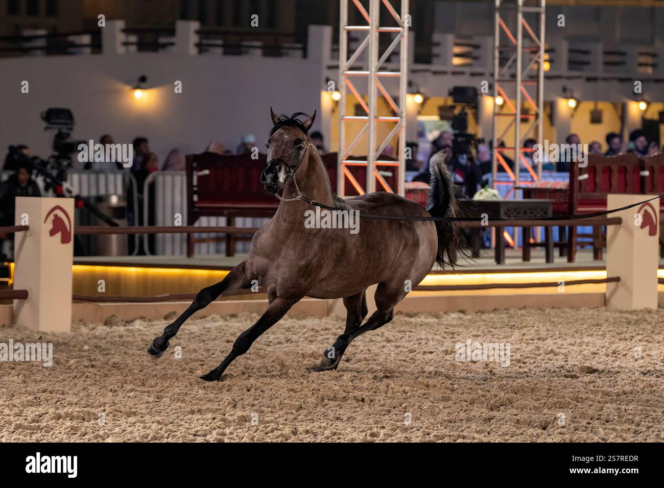 Souq Waqif Equestrian Festival Doha QAT Foto Stock