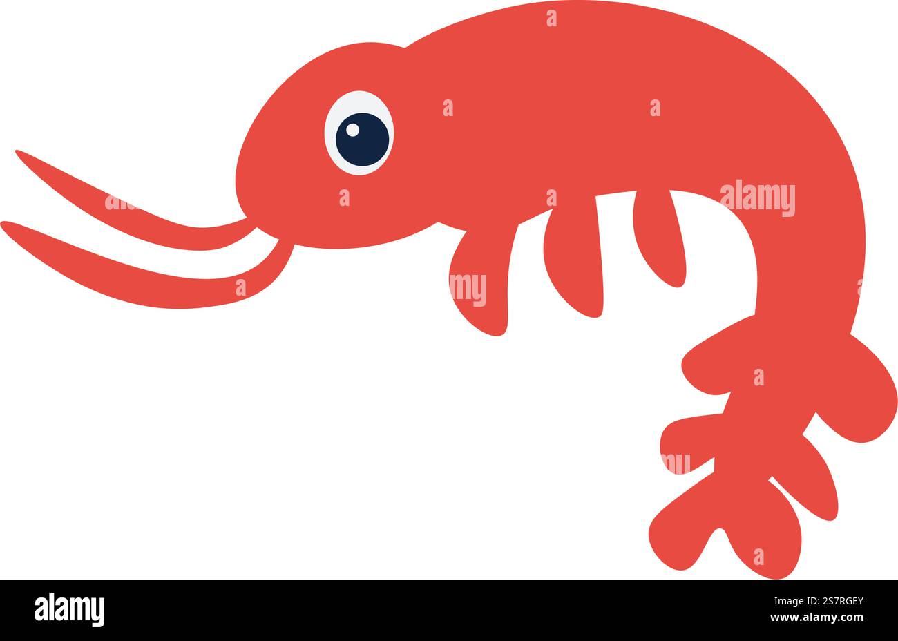 Animale di pesce gamberetto, personaggio isolato con occhio. Carattere delle acque oceaniche e marine, delle creature marine e della natura selvaggia. Abitante di acquario o oceanario, gamberi. Immagine vettoriale in stile piatto. Pesci animali acquatici, creature marine o oceaniche Illustrazione Vettoriale