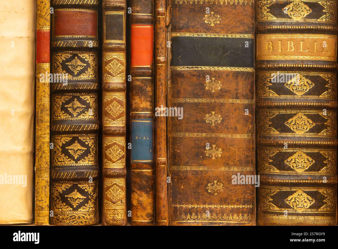 Primo piano di spine per libri vintage ornate con legature in pelle e intricati motivi dorati Foto Stock