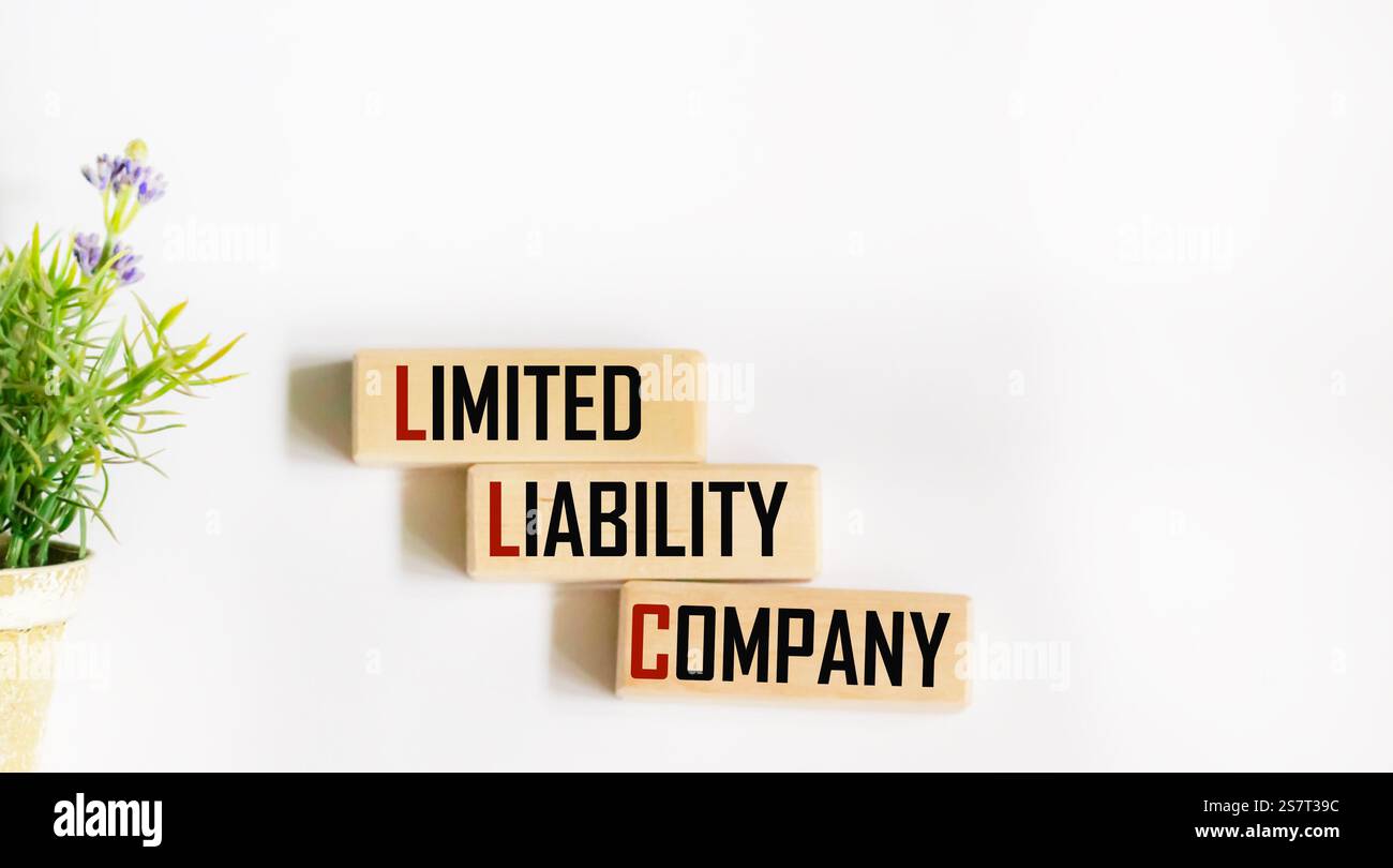 Il testo della società a responsabilità limitata "LLC" su un blocco di legno su sfondo bianco Foto Stock
