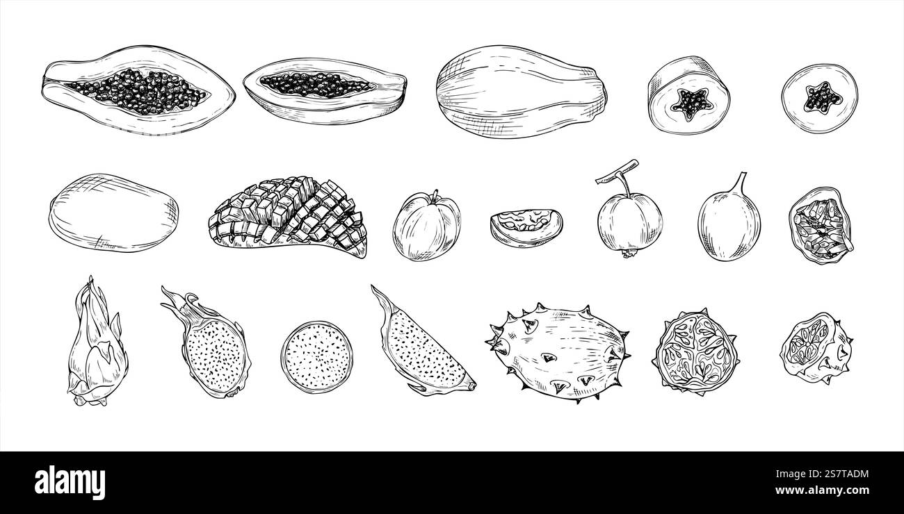 Illustrazione vettoriale in bianco e nero con mix aromatico di frutta tropicale. Papaya, kiwano, carambola, maracuja, Pitahaya e mango monocromatici Illustrazione Vettoriale