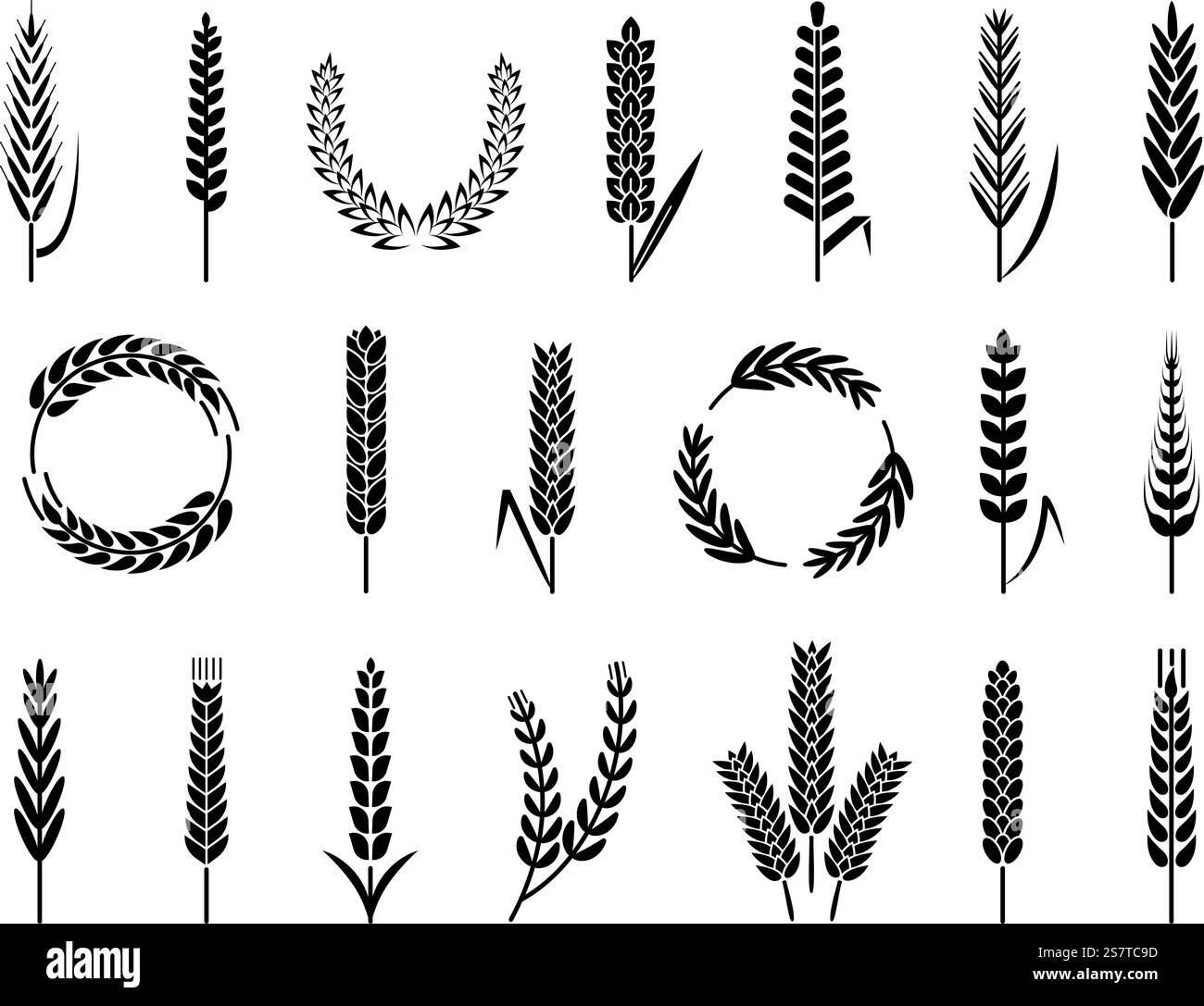 Orecchie di orzo di grano biologico, simboli di raccolta di prodotti da forno. Elementi agricoli isolati. Avena o malto per birra e pane. Sagome vettoriali decenti della raccolta del grano. Orecchie di orzo di grano biologico, simboli di raccolta di prodotti da forno. Elementi agricoli isolati. Avena o malto per birra e pane. Sagome vettoriali decenti Illustrazione Vettoriale