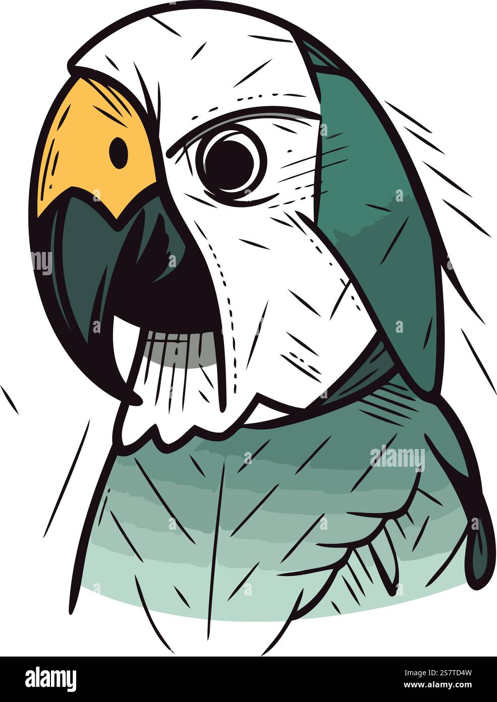 Illustrazione vettoriale di un pappagallo di macaw isolato su sfondo bianco. Illustrazione Vettoriale