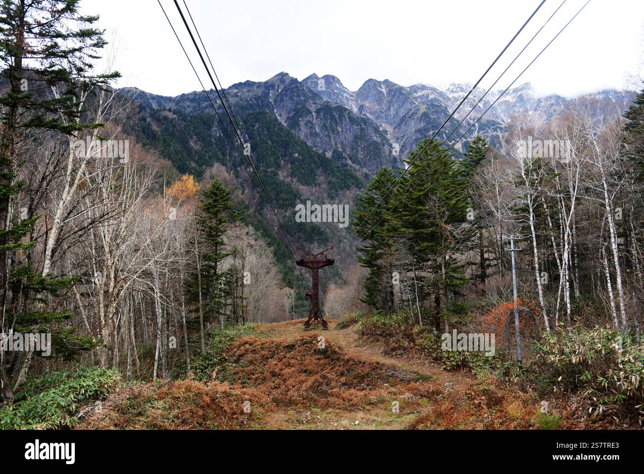 Vista dalla funivia di Shinatoka nelle Alpi giapponesi, prefettura di Gifu, Giappone. Foto Stock