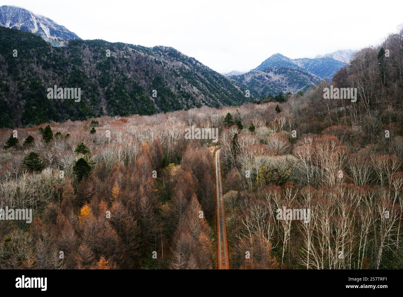 Vista dalla funivia di Shinatoka nelle Alpi giapponesi, prefettura di Gifu, Giappone. Foto Stock