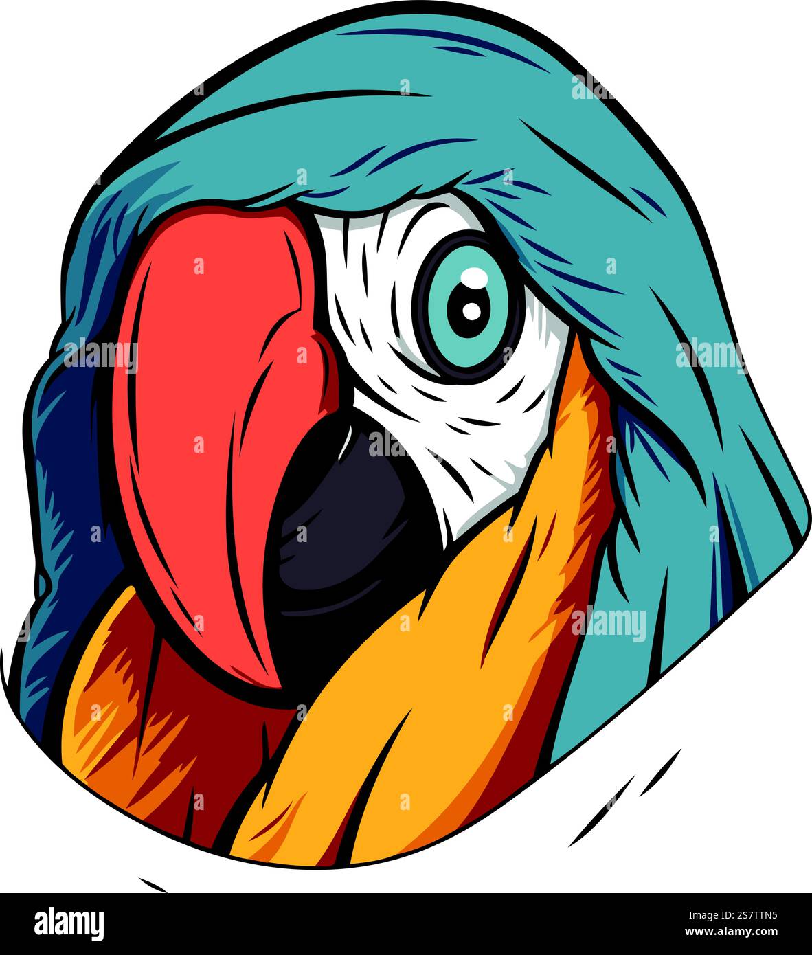 Illustrazione vettoriale di una testa di pappagallo in un impermeabile blu. Illustrazione Vettoriale