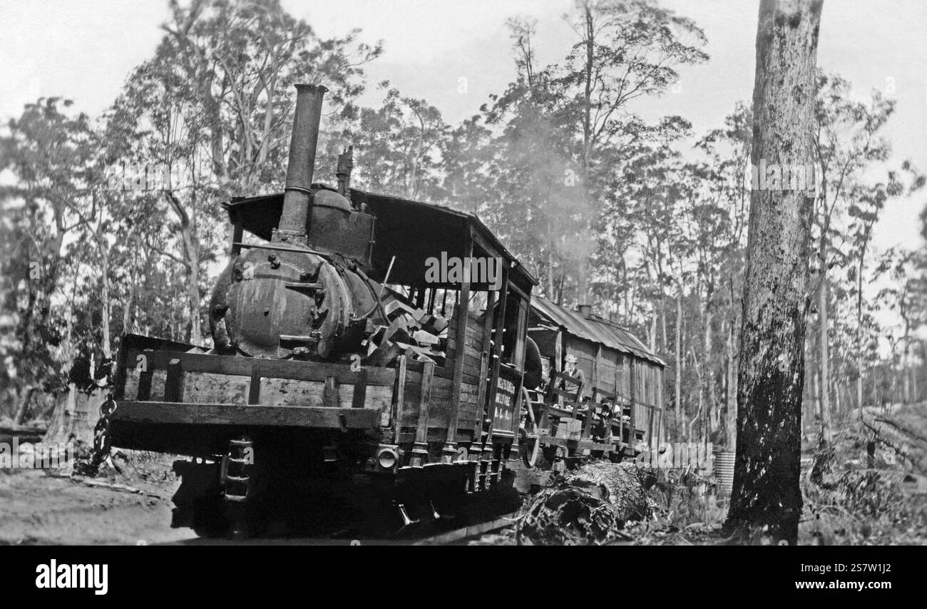 La locomotiva a vapore di William Langley e Son sulla Langley vale Timber Tramway, vicino a Taree, nuovo Galles del Sud, Australia all'inizio del XX secolo. La ferrovia era una rete ferroviaria a scartamento ridotto di 20 chilometri (12 miglia) con principalmente rotaie di legno con uno scartamento di 4 ft 2 in. Fu utilizzato dal 1897 al 1933 per trasportare tronchi in una segheria a Lansdowne nella valle del fiume Manning. La pista è iniziata dalla segheria e ha corso verso l'alto con ripide pendenze, su ponti di roccia ruvidi fino alla parete occidentale di Hannam vale. Dal 1912 fu utilizzata una locomotiva americana di classe A Climax da 18 tonnellate. Foto Stock