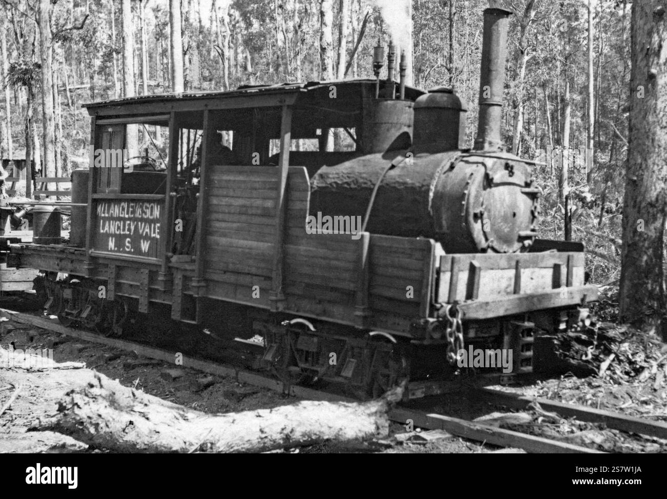 La locomotiva a vapore di William Langley e Son sulla Langley vale Timber Tramway, vicino a Taree, nuovo Galles del Sud, Australia all'inizio del XX secolo. La ferrovia era una rete ferroviaria a scartamento ridotto di 20 chilometri (12 miglia) con principalmente rotaie di legno con uno scartamento di 4 ft 2 in. Fu utilizzato dal 1897 al 1933 per trasportare tronchi in una segheria a Lansdowne nella valle del fiume Manning. La pista è iniziata dalla segheria e ha corso verso l'alto con ripide pendenze, su ponti di roccia ruvidi fino alla parete occidentale di Hannam vale. Dal 1912 fu utilizzata una locomotiva americana di classe A Climax da 18 tonnellate. Foto Stock