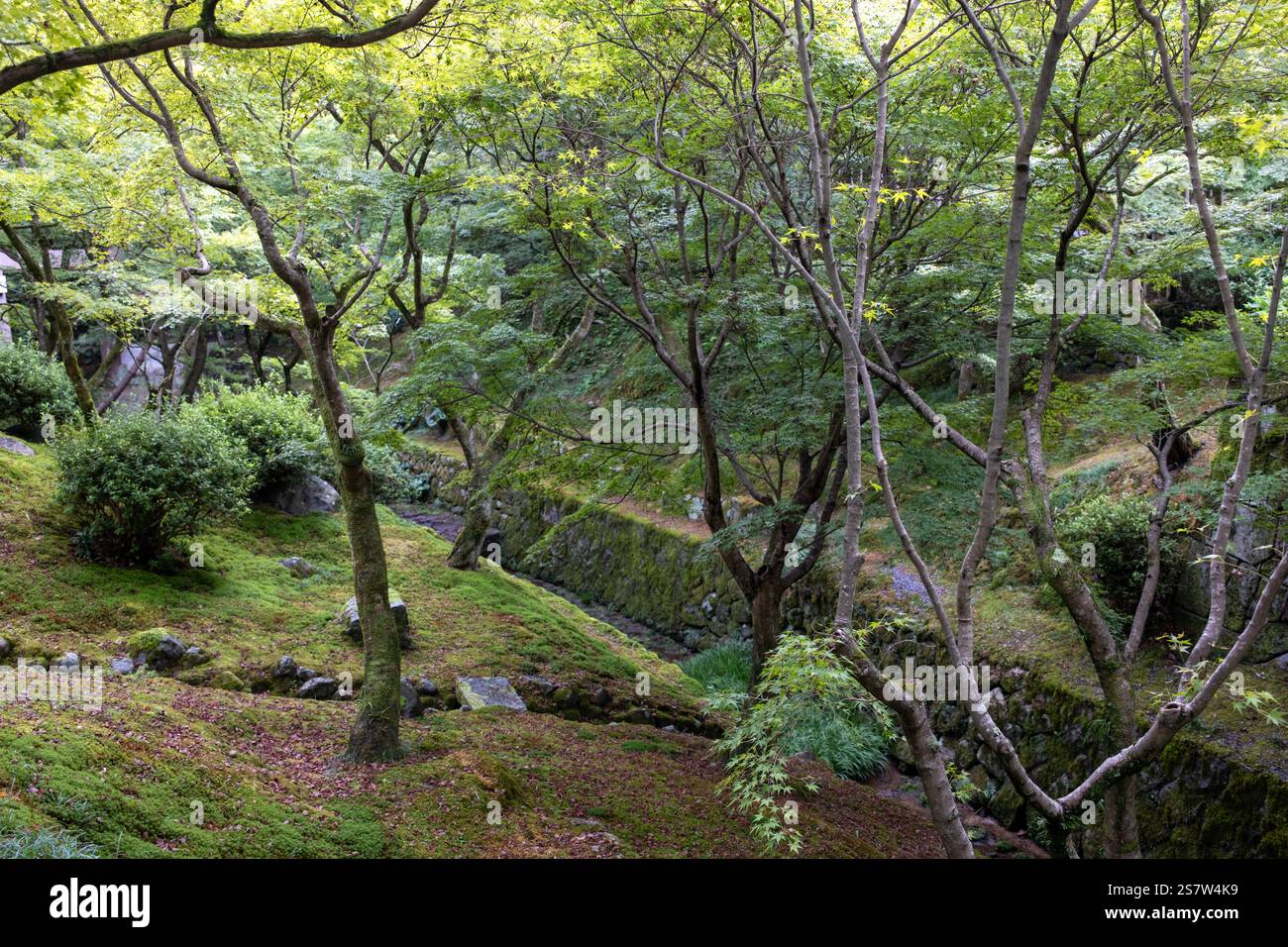 Terreno del Tempio Tofukuji Kyoto Giappone Foto Stock