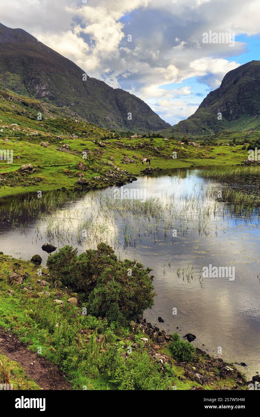 Lakeshore al crepuscolo, passo di montagna Gap of Dunloe, Killarney, strada panoramica Ring of Kerry, Penisola di Iveragh, Contea di Kerry, Irlanda, Europa Foto Stock