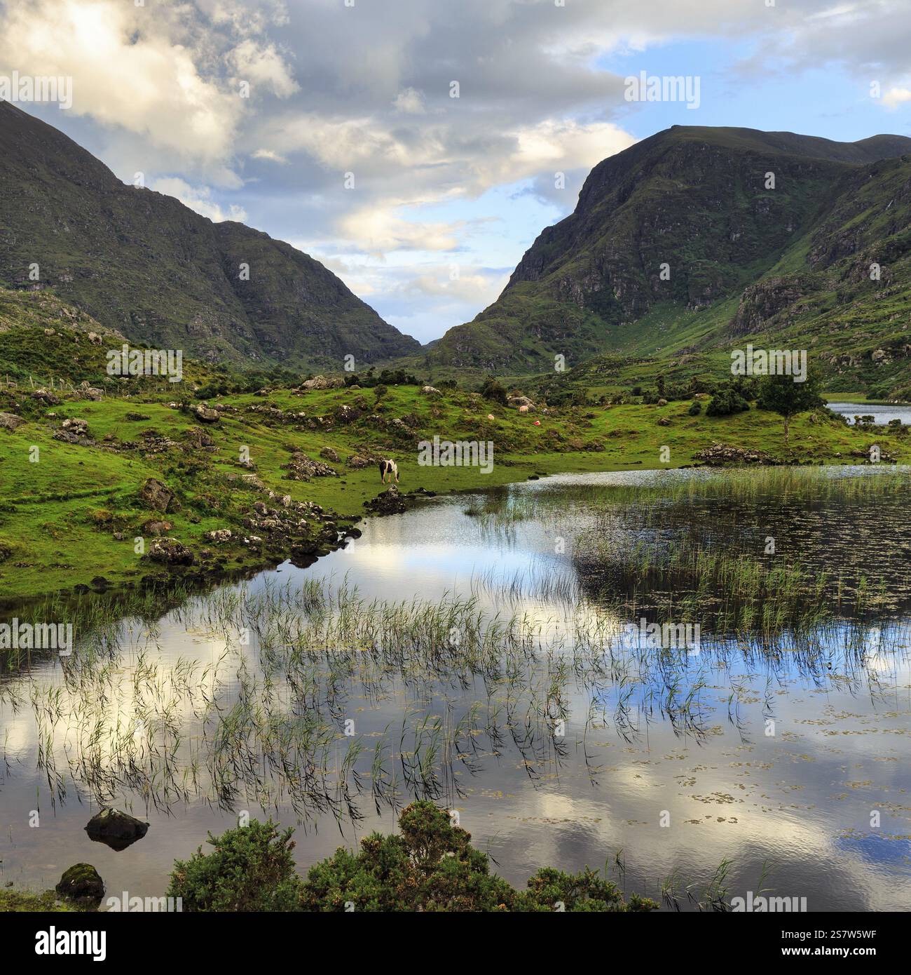Lakeshore al crepuscolo, passo di montagna Gap of Dunloe, Killarney, strada panoramica Ring of Kerry, Penisola di Iveragh, Contea di Kerry, Irlanda, Europa Foto Stock