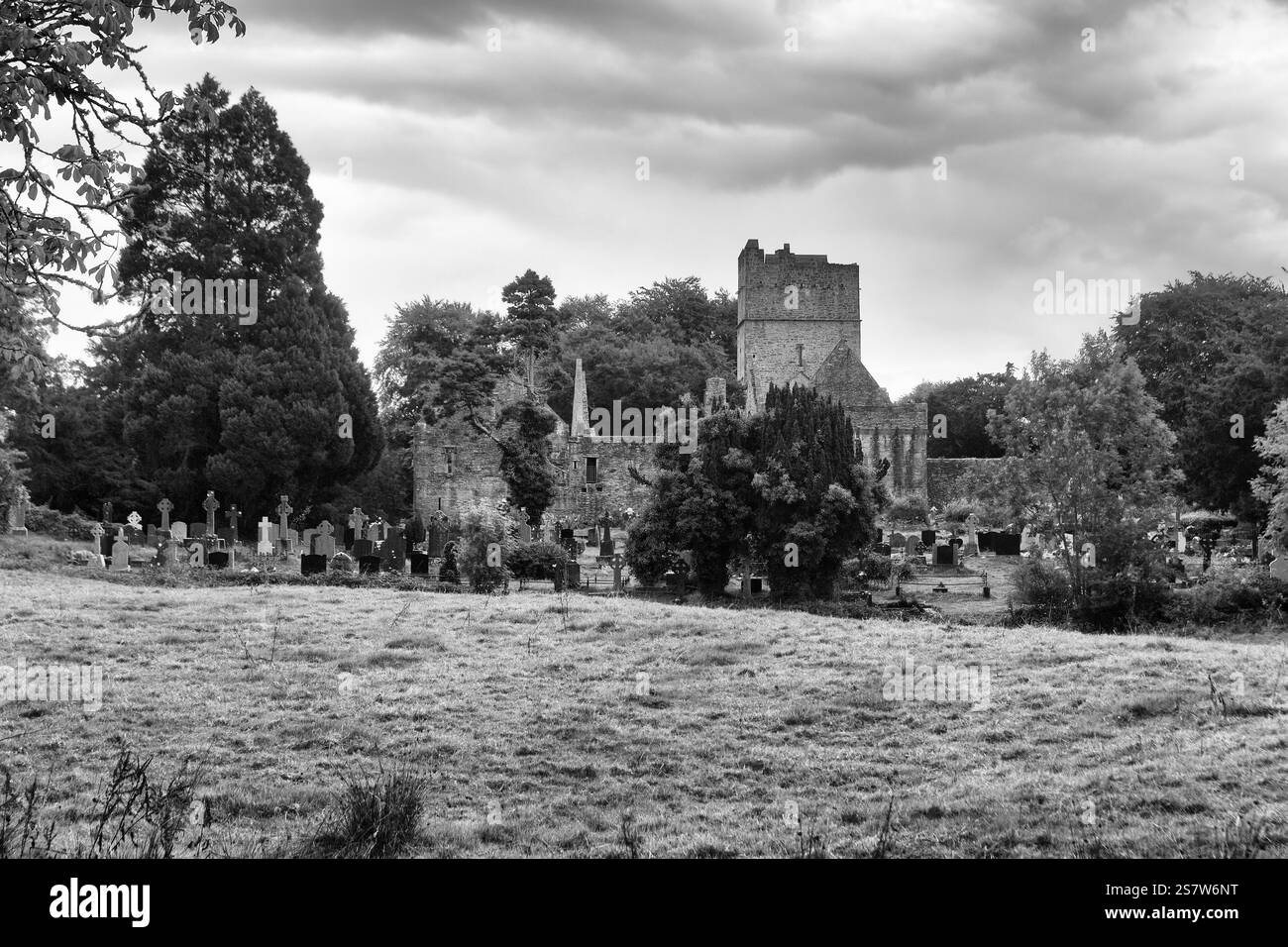 Rovine dell'abbazia di Muckross con cimitero, Muckross Friary, monocromatico, Killarney National Park, strada panoramica Ring of Kerry, penisola di Iveragh, contea di Kerr Foto Stock