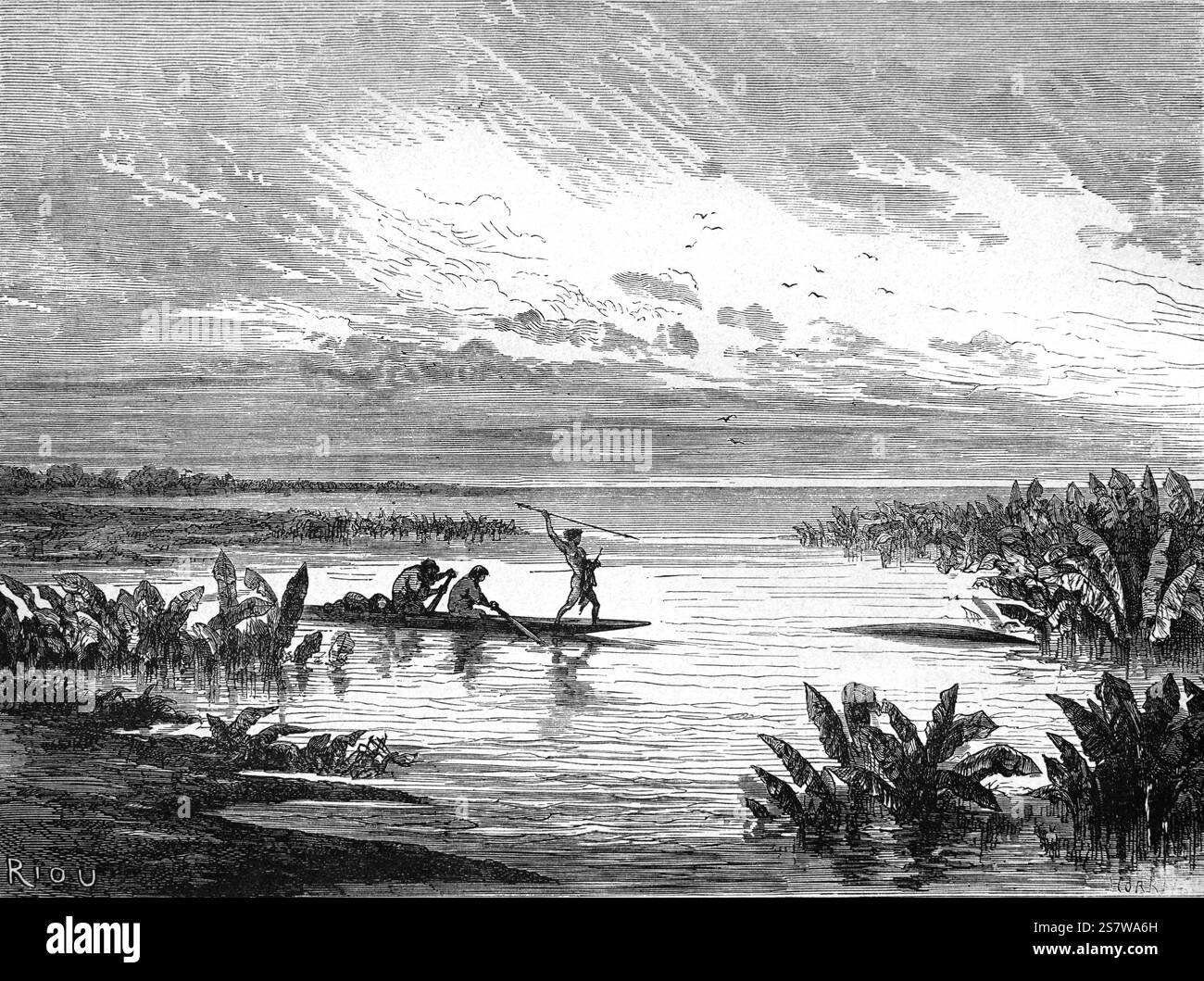 Indiani Shipibo-Conibo o nativi peruviani che cacciano lamantini amazzonici, Trichechus inunguis, nel bacino del Rio delle Amazzoni. Gli Shipibo-Conibo sono un popolo indigeno del Perù che vive lungo il fiume Ucayali nella foresta pluviale amazzonica del Perù in Sud America. Illustrazione o incisione vintage o storica 1864 Foto Stock