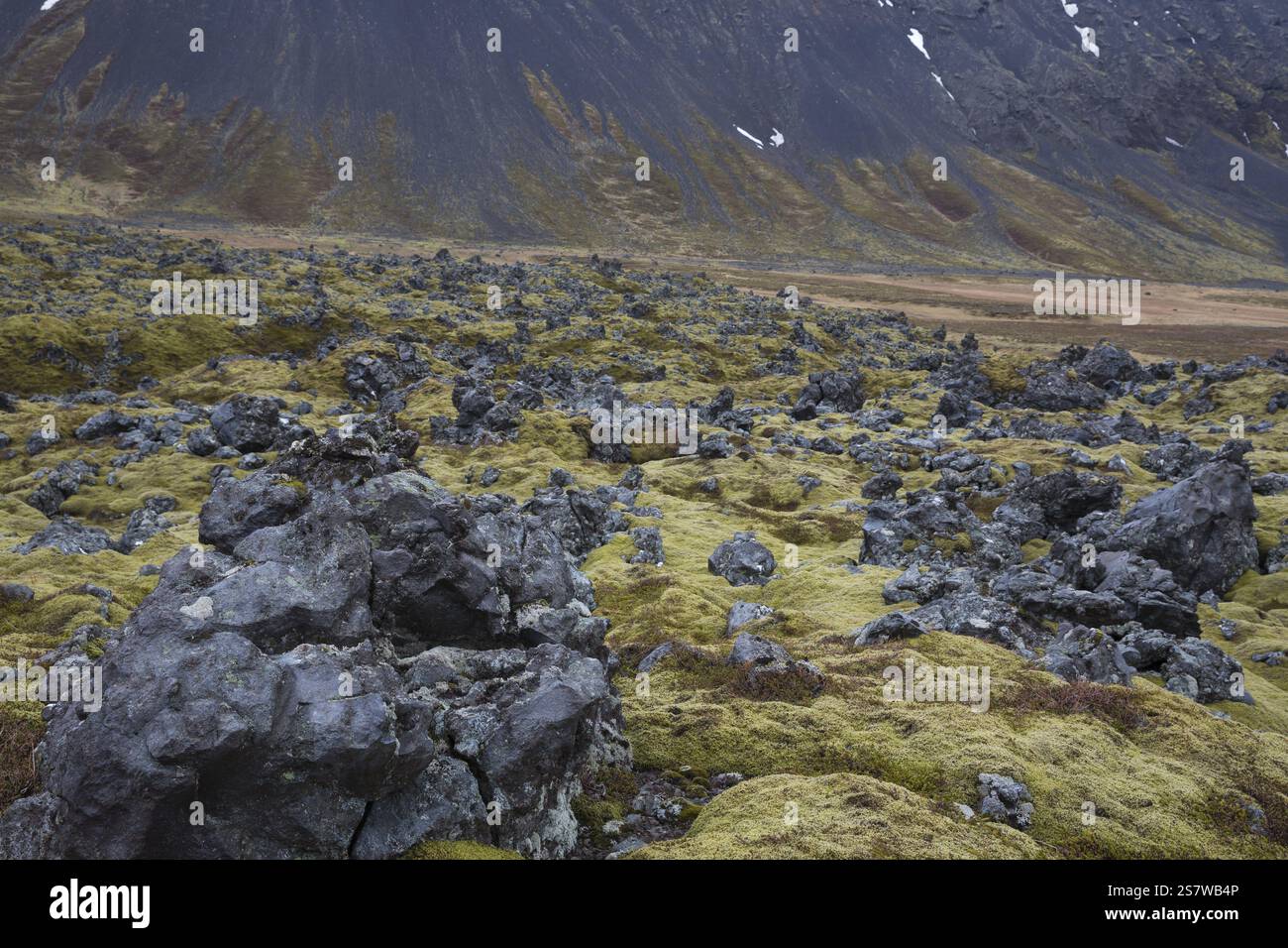 Paesaggio a nord di Arnarstapi, Vesturland, Islanda occidentale, rocce laviche, muschio, Snaefellsjoekull, penisola di Snaefellsnes Foto Stock