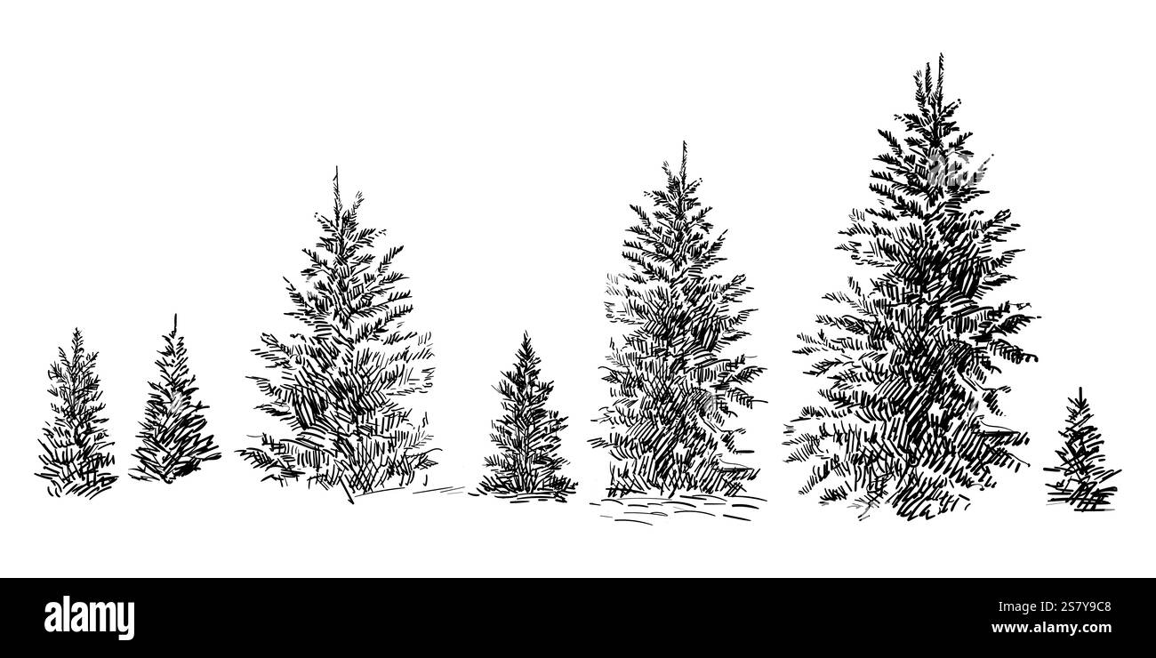 Disegno a mano di alberi di abete rosso impostare l'illustrazione vettoriale Illustrazione Vettoriale