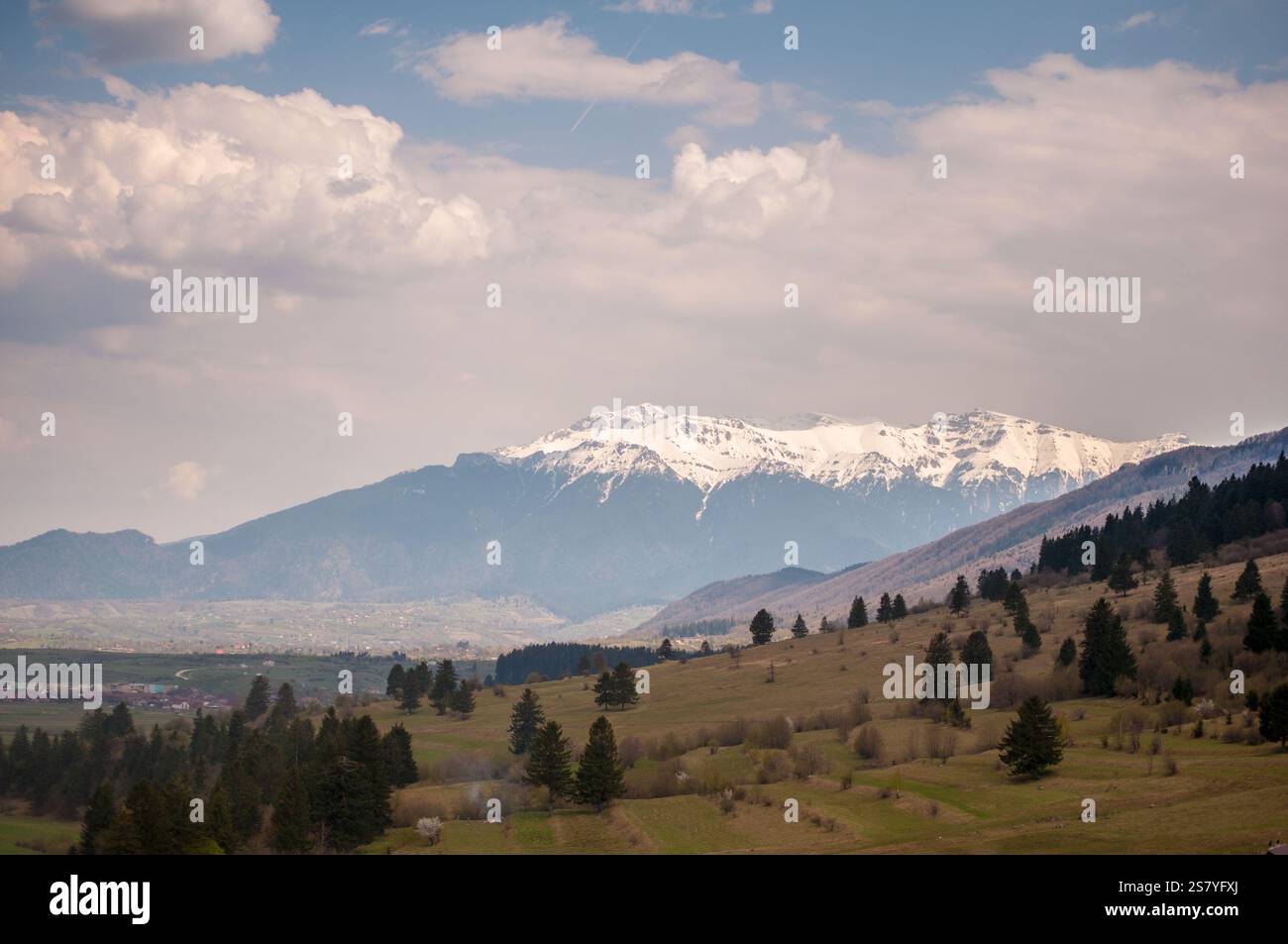Un tranquillo paesaggio primaverile che mostra in lontananza i Monti Bucegi, con vette innevate che si innalzano sopra lussureggianti campi verdi. La scena è co Foto Stock