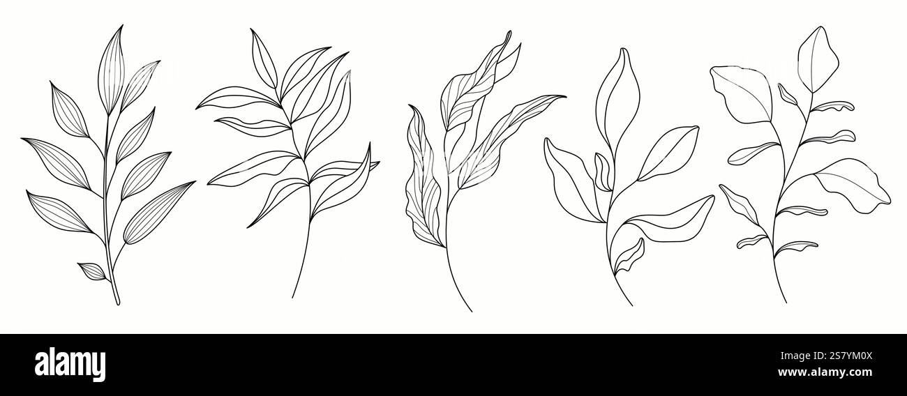 Set clipart di elementi tropicali estivi. Frutti estivi ed elementi grafici ritagliano la grafica come foglie di palma, ananas, cocco, kiwi e anguria Illustrazione Vettoriale