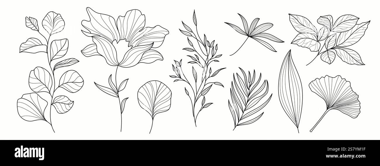 Set clipart disegno elementi estivi. Gli elementi grafici tropicali evidenziano l'icona delle carte, il simbolo e l'illustrazione vettoriale della collezione di clip art. Illustrazione Vettoriale