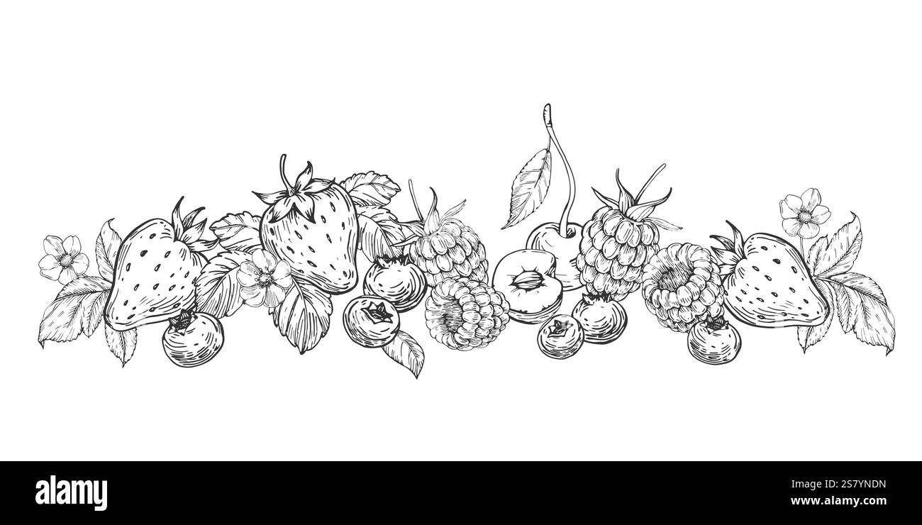 Illustrazioni in bianco e nero vettoriali di frutti di bosco disegnate a mano con inchiostro. Illustrazione Vettoriale