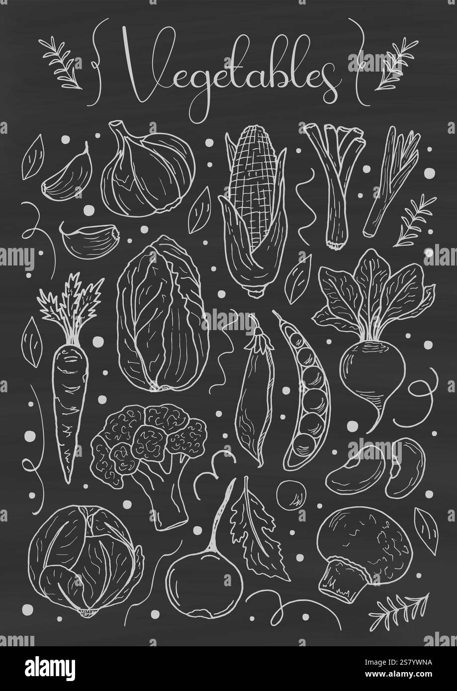 Poster verticale di verdure ed erbe aromatiche su una lavagna. Poster vettoriale in stile doodle. Design della cucina, menu' da caffe'. Poster gastronomico retrò. Illustrazione Vettoriale