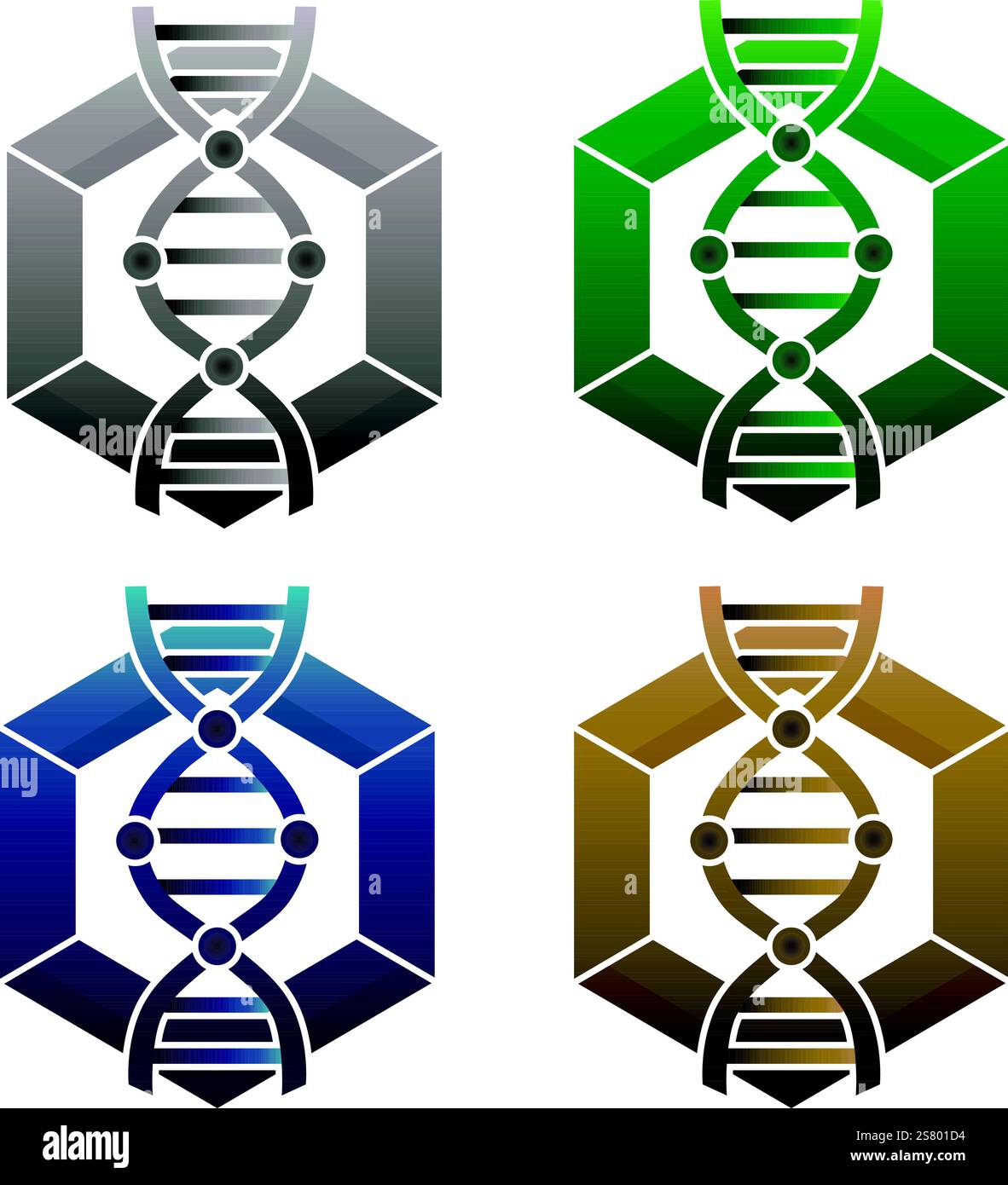 Illustrazione vettoriale della decodifica dell'elica del dna. Simbolo della sequenza a spirale. Icona dell'ingegneria del DNA. Segno di alterazione dell'acido deossiribonucleico. Illustrazione Vettoriale
