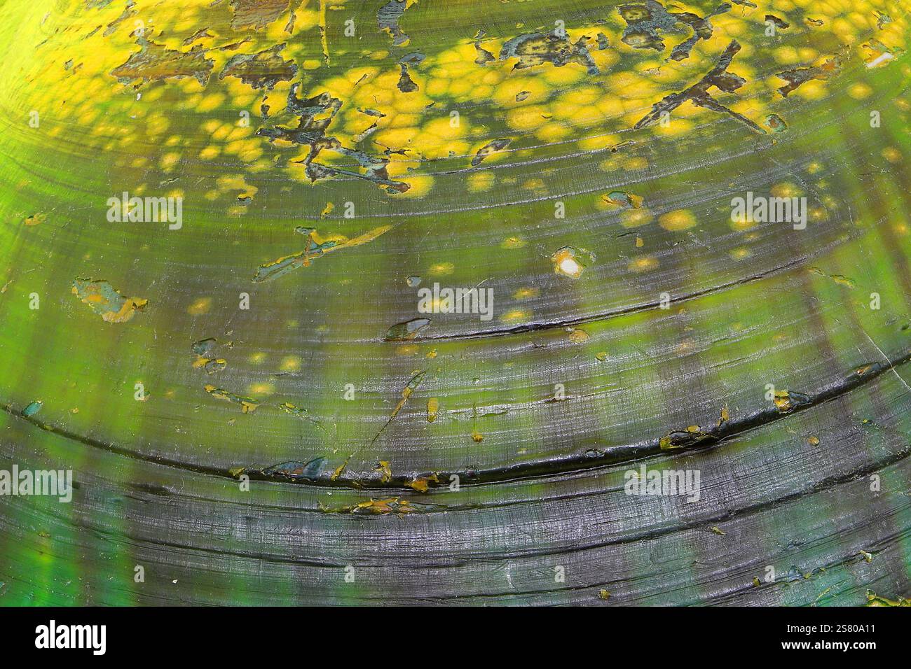 Vista ravvicinata, astratta, macro della superficie snodata di un guscio di cozze. Sfondo con sfumature di colore giallo, verde e blu. Foto Stock