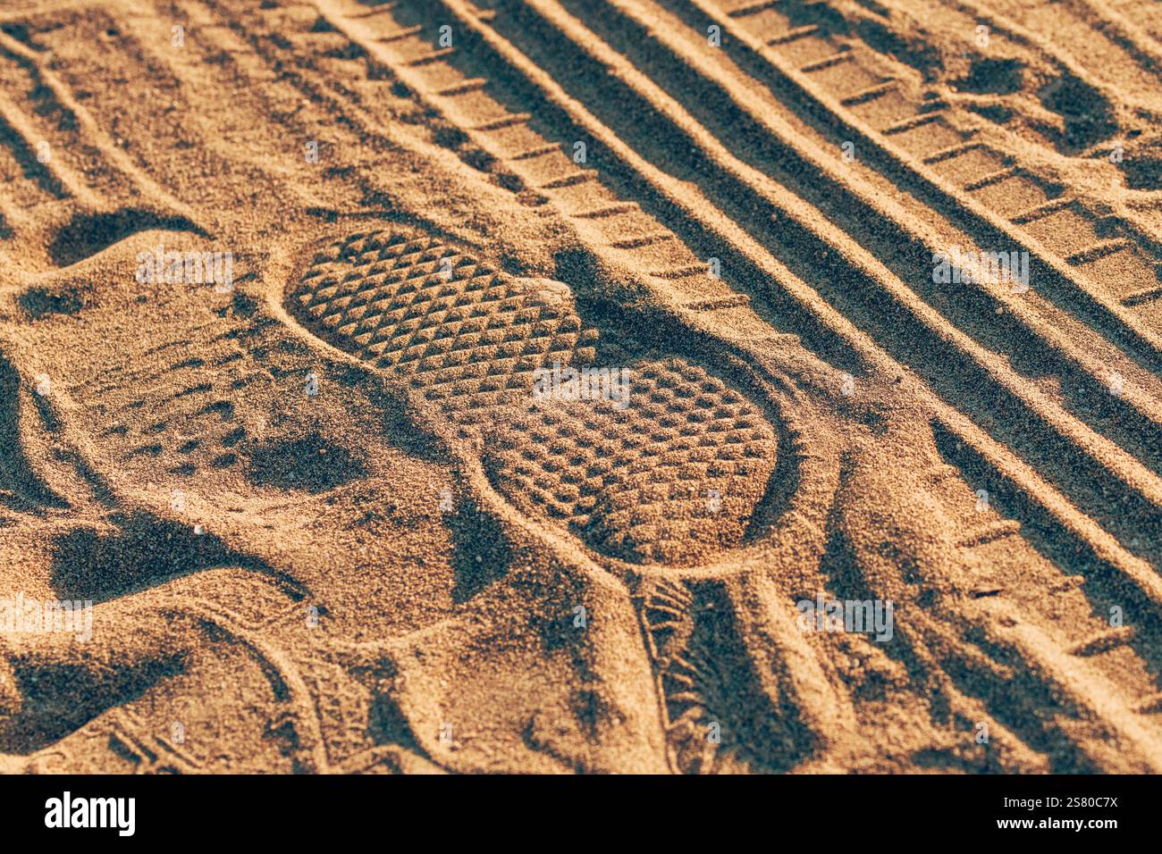 Impronta del predellino e segni del battistrada degli pneumatici in polvere e sabbia, messa a fuoco selettiva Foto Stock