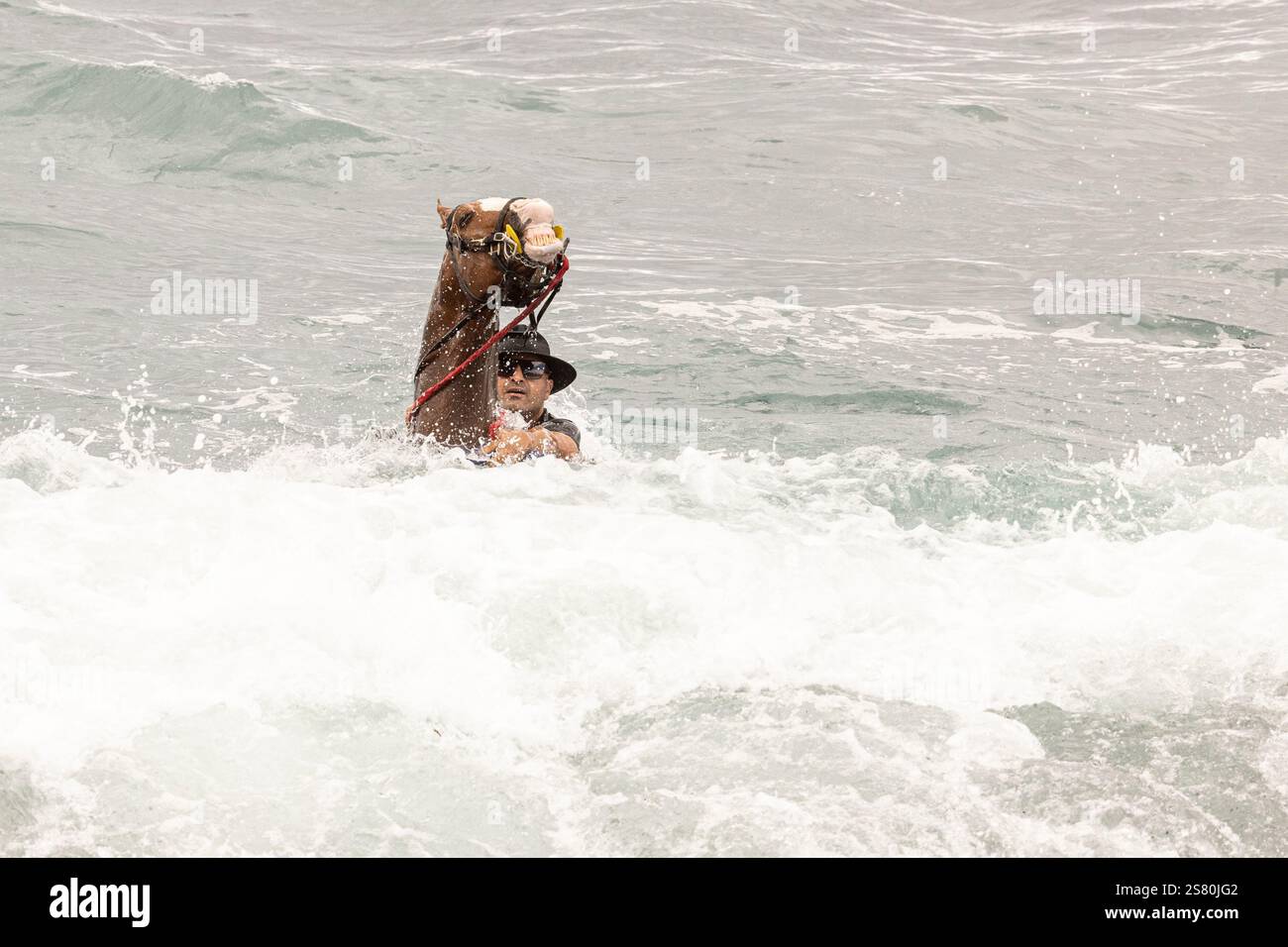 Playa de Enramada, la Caleta, Costa Adeje, Tenerife, Isole Canarie, Spagna. 20 gennaio 2025. Festa annuale di San Sebastián in cui gli animali sono benedetti e soprattutto i cavalli vengono portati in spiaggia dove vengono cavalcati in mare. Crediti © Phil Crean, Alamy crediti: Phil Crean A/Alamy Live News Foto Stock