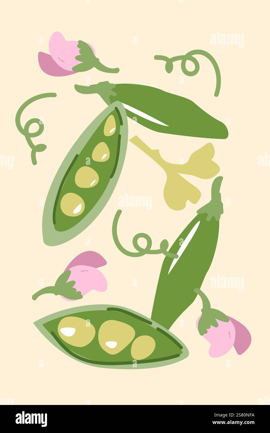 Colorate cialde di pisello e fiori su sfondo pastello. Illustrazione Vettoriale