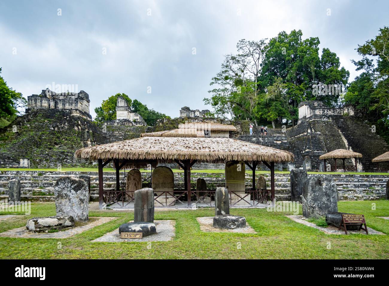 Stele di pietra di fronte all'Acropoli Nord. Parco nazionale di Tikal, Guatemala, America centrale. Foto Stock