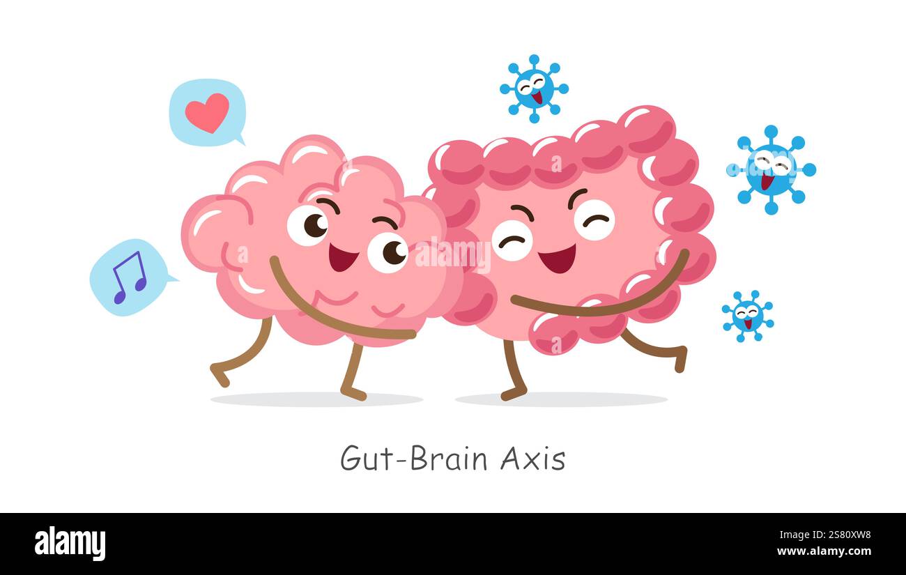 Asse intestino-cervello . Personaggio cartoni animati del cervello e dell'intestino umano . Il concetto di prebiotici e probiotici si riferiscono alla funzione cerebrale . Vettore . Illustrazione Vettoriale