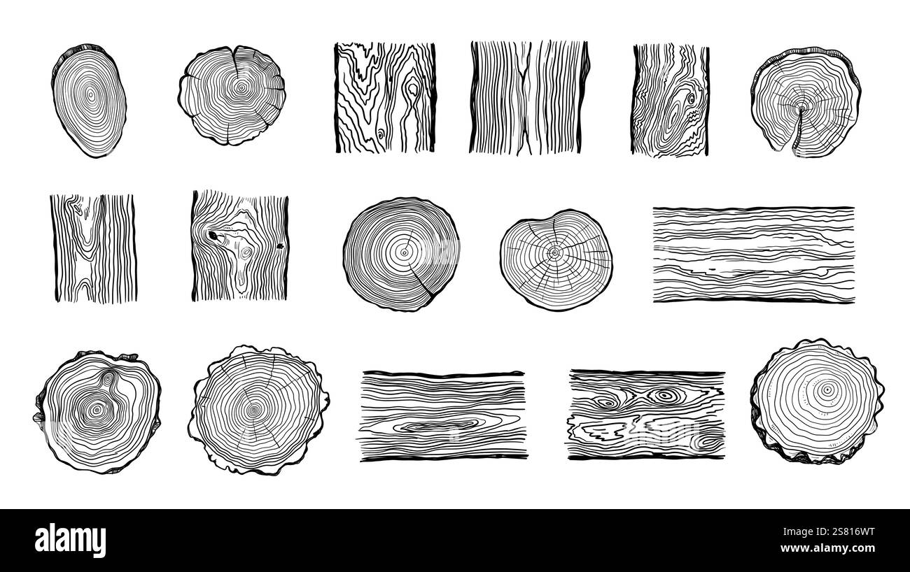 Anelli di legno. Tronco tondo di albero tagliato con linee di crescita, tronco circolare in legno con superficie ruvida naturale, materiale di falegnameria stile piatto. Se isolato dal vettore Illustrazione Vettoriale