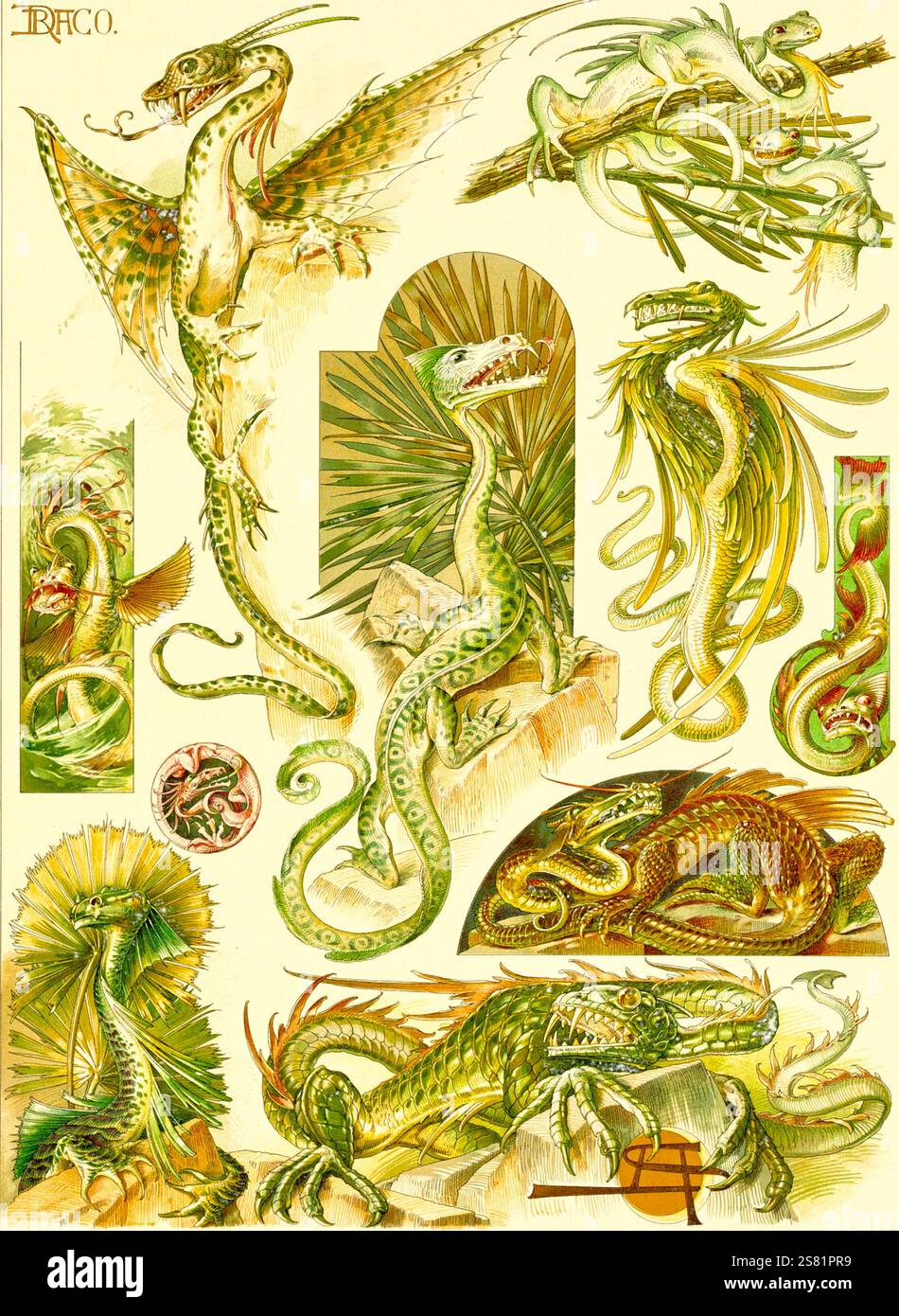 Anton Seder - l'animale nelle arti decorative - intricati disegni Art Nouveau - 1896 - Draghi Foto Stock