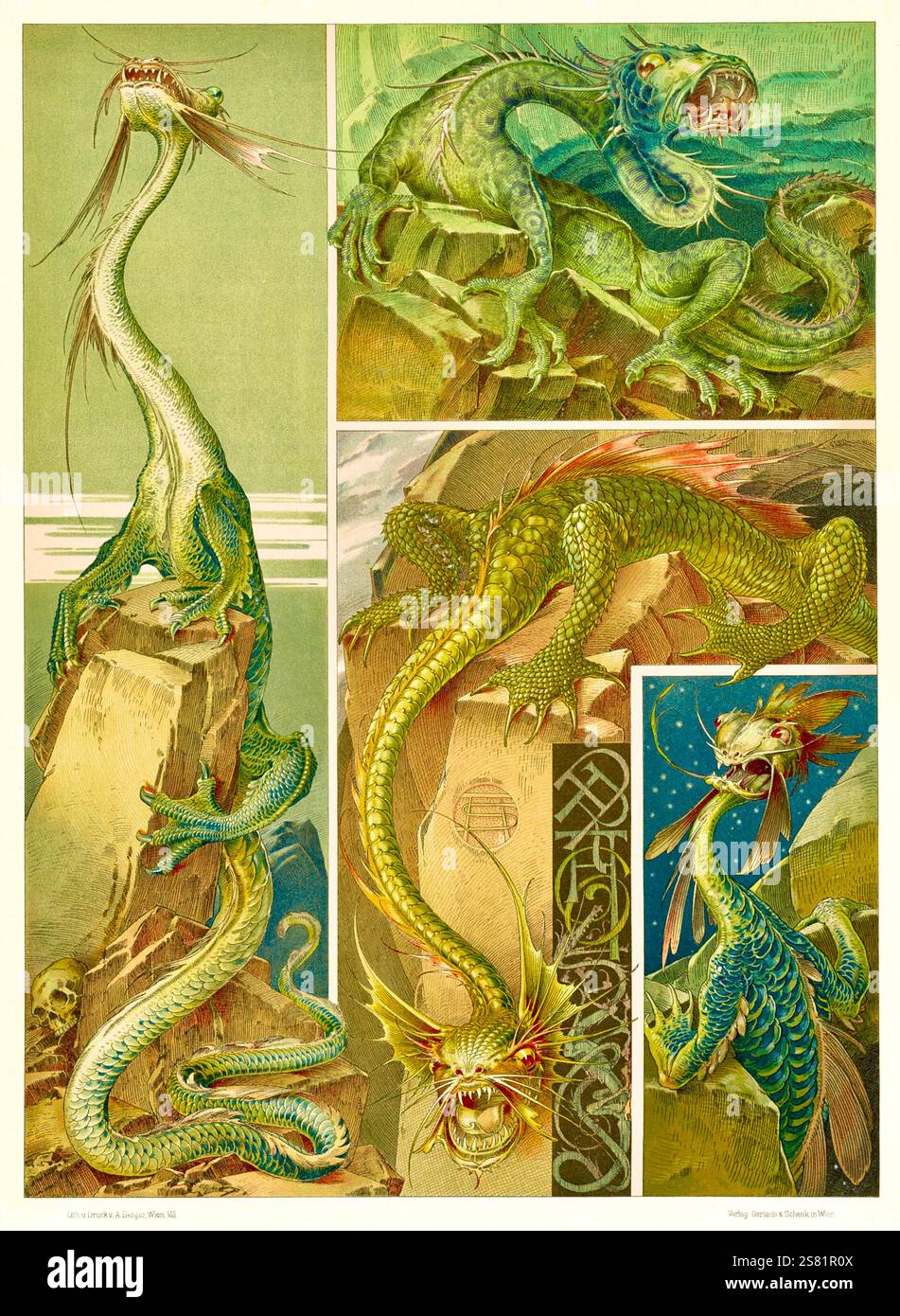 Anton Seder - l'animale nelle arti decorative - intricati disegni Art Nouveau - 1896 - Draghi Foto Stock