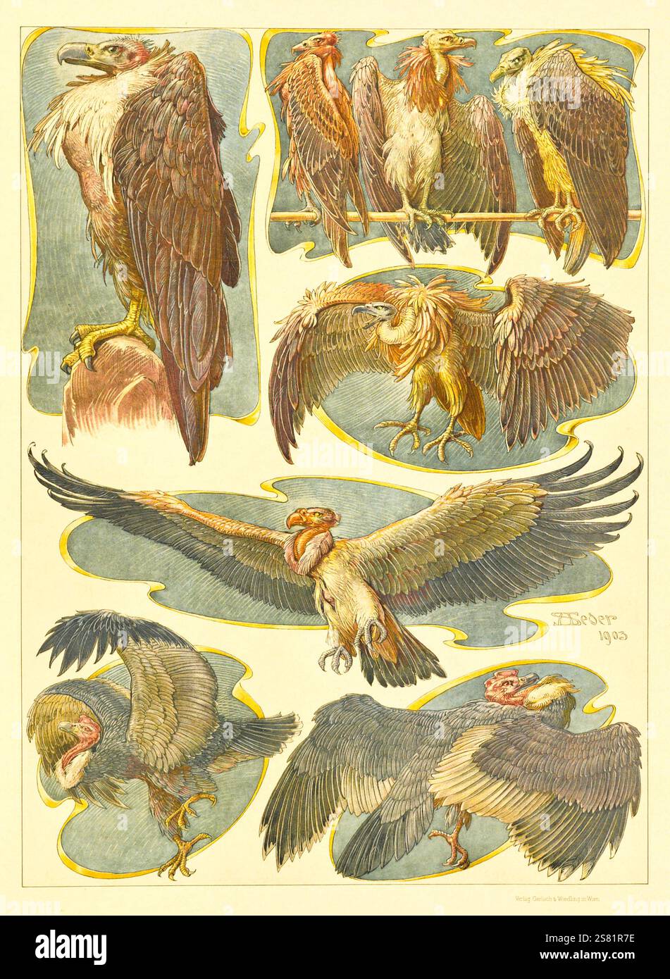 Anton Seder - l' animale nelle arti decorative - disegni intricati Art Nouveau - 1896 - Foto Stock