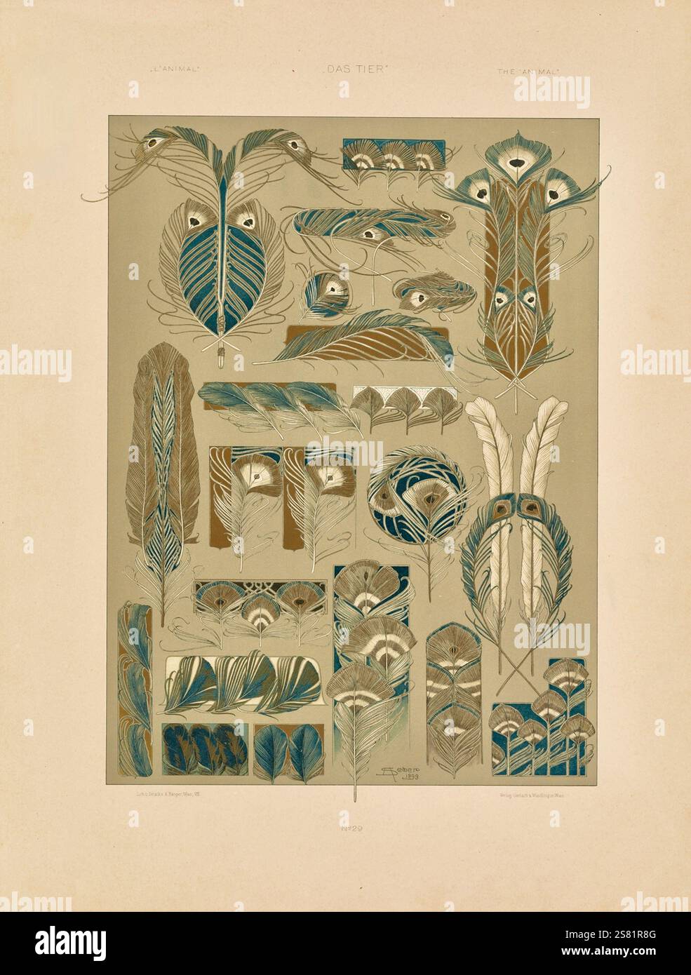 Anton Seder - l' animale nelle arti decorative - disegni intricati Art Nouveau - 1896 - Foto Stock
