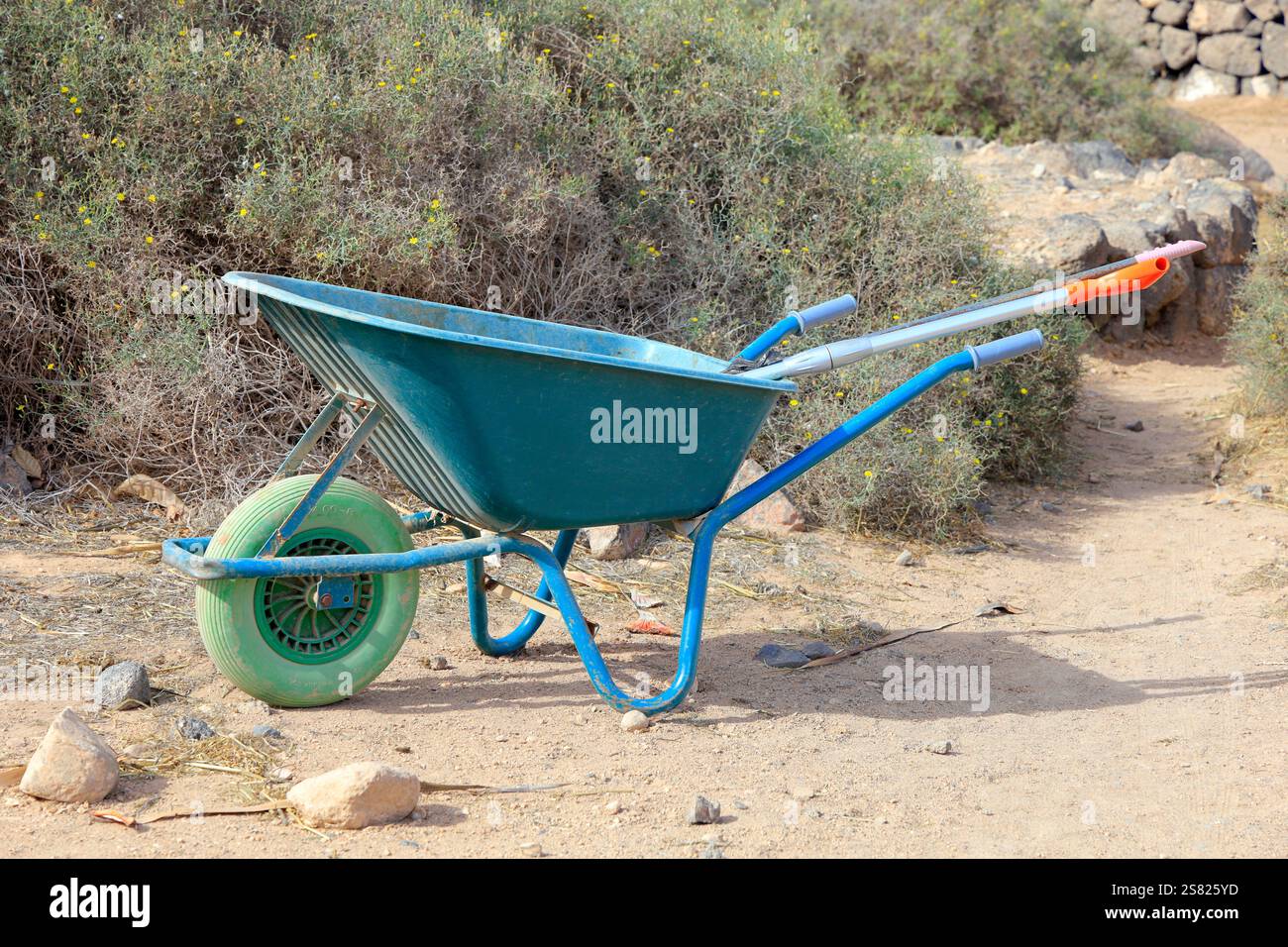 Carriola verde all'aperto, Fuerteventura. Presa a dicembre 2024. Foto Stock