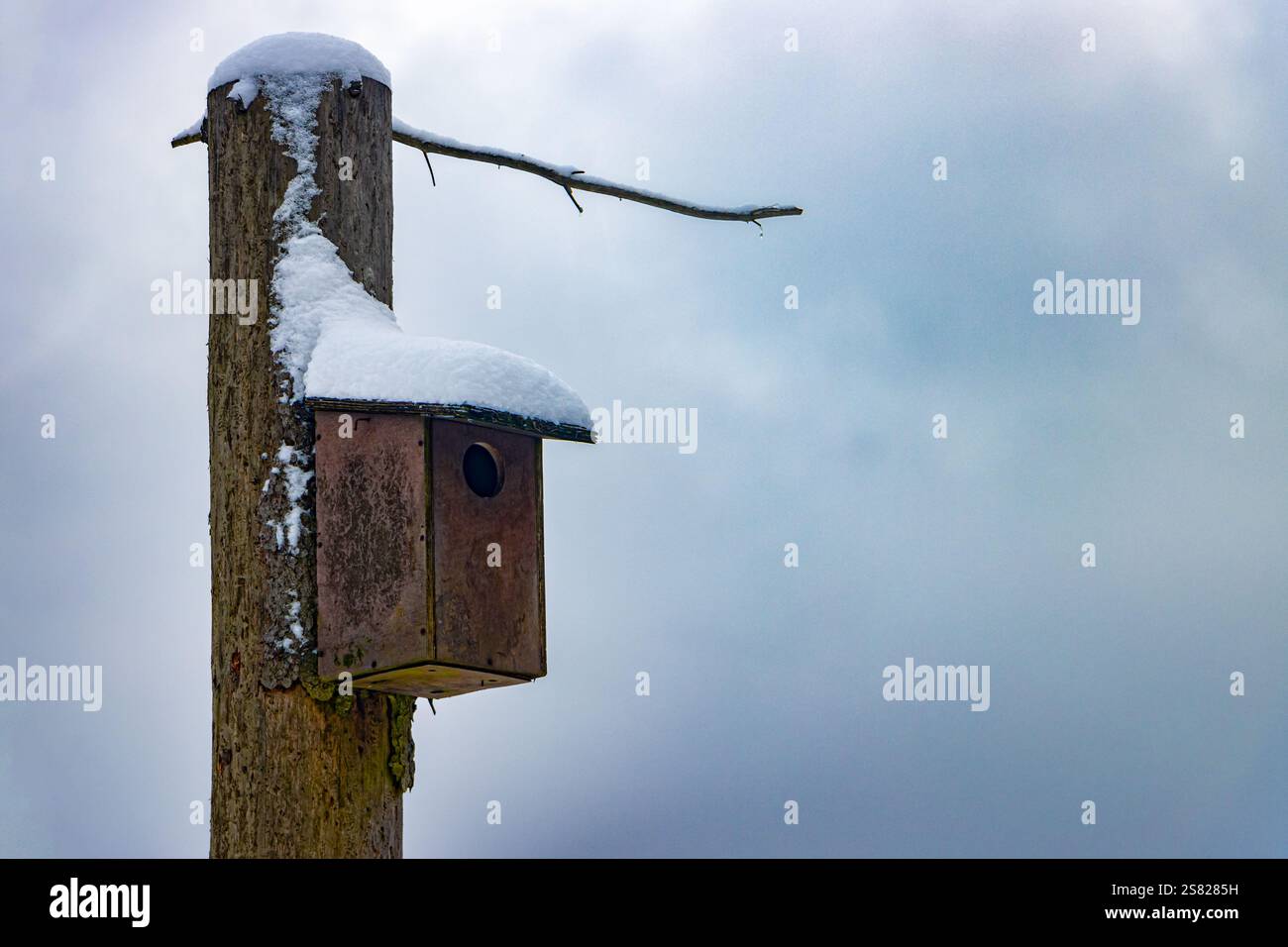 Casa per uccelli innevata con sfondo nuvoloso Foto Stock