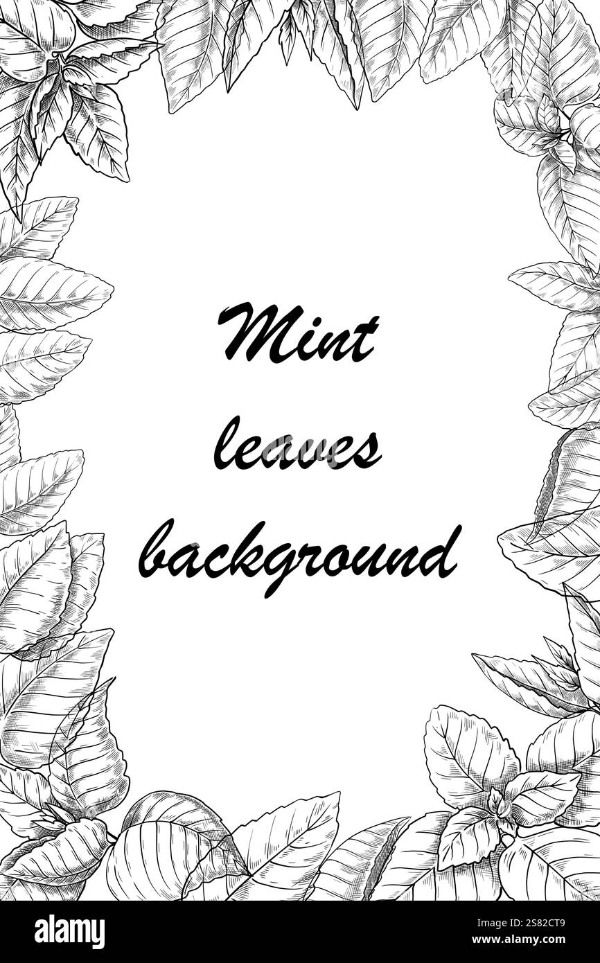 Mint lascia lo sfondo. Cornice in stile schizzo, banner o poster, elementi botanici disegnati a mano, volantino in stile incisione a base di erbe. Menta piperita o spearm Illustrazione Vettoriale