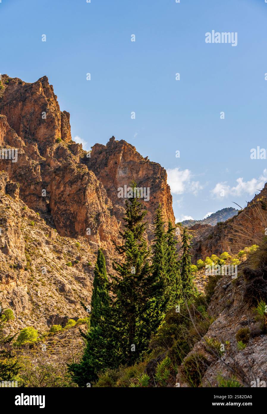 Paesaggio roccioso con alberi vicino a Granada con alberi della foresta e vista sulle montagne Foto Stock