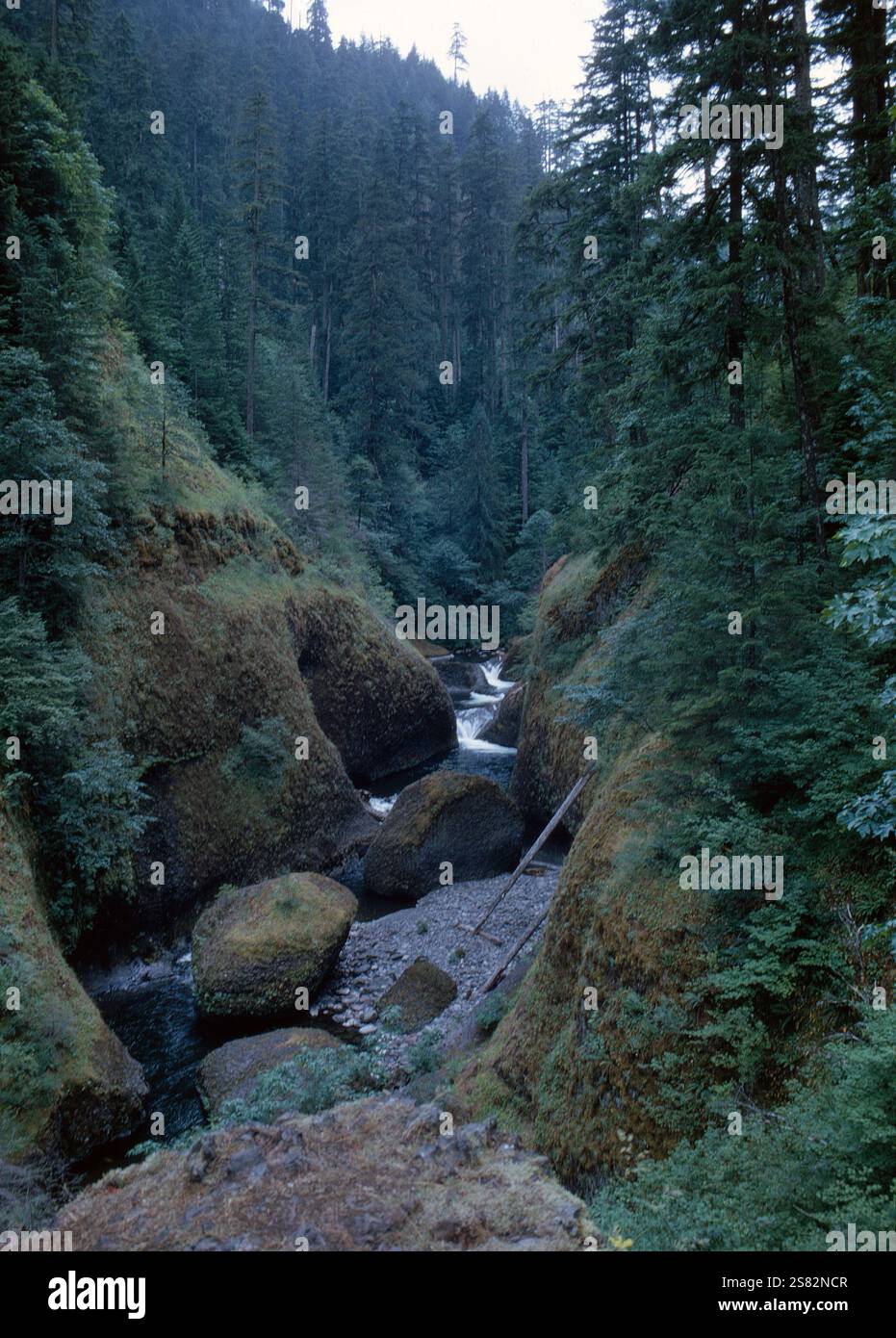 Fiume nel paesaggio roccioso luglio 1962 Foto Stock