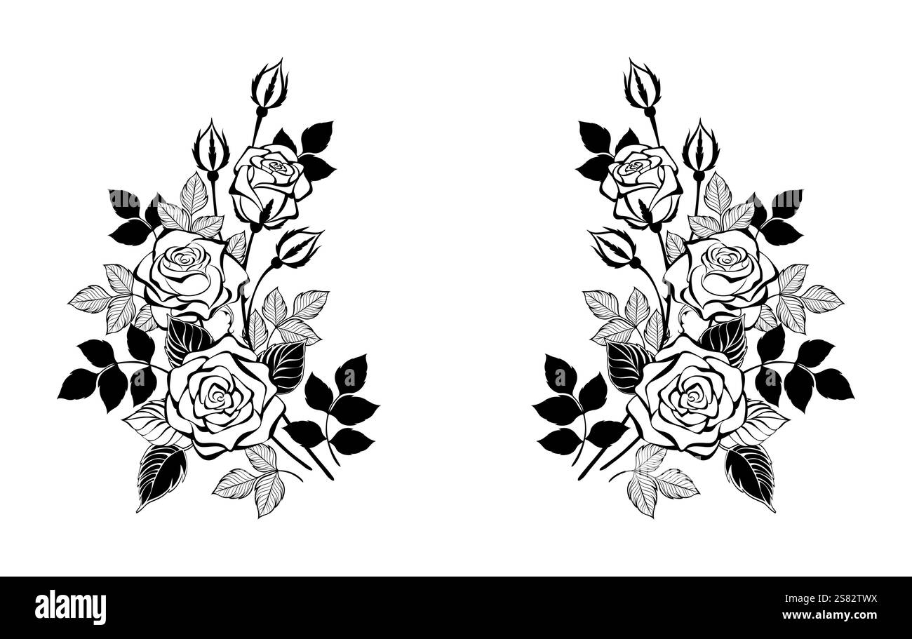 Composizione simmetrica di rami isolati di rosa sagomata artisticamente con foglie nere su sfondo bianco. Rosa Contour. Illustrazione Vettoriale