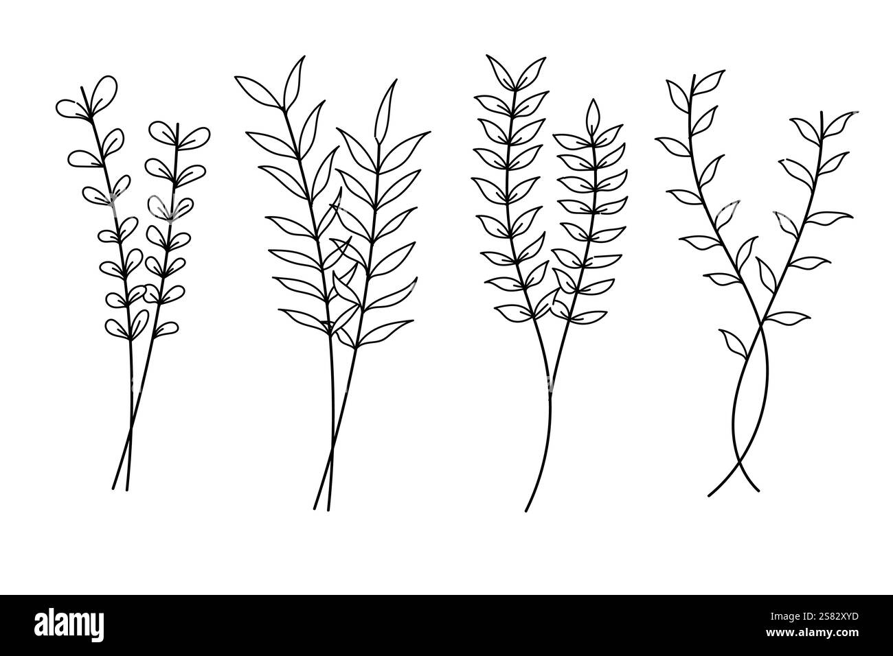 On White Collection di illustrazioni artistiche disegnate a mano con vari elementi botanici. Illustrazione Vettoriale