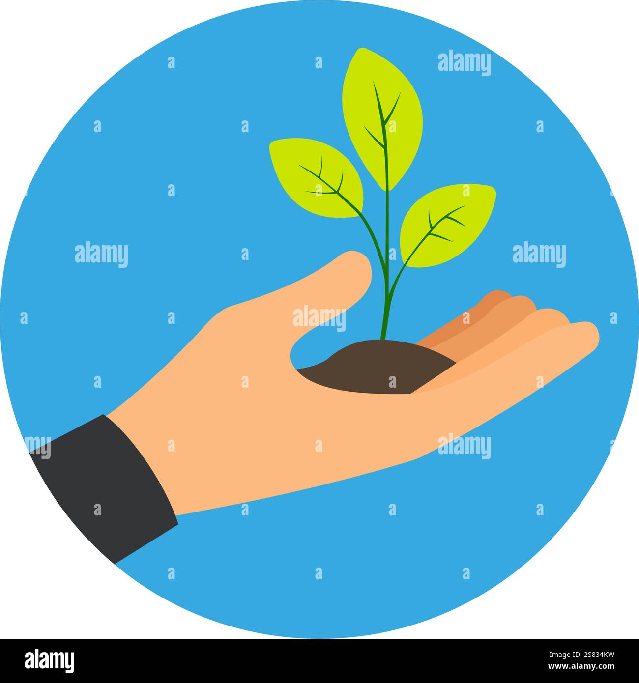 Mano che tiene piccole piantine verdi nel suolo, simboleggiando la crescita, la natura, l'ecologia, la sostenibilità, tutela dell'ambiente Illustrazione Vettoriale